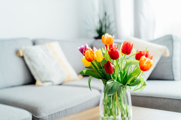 Tulipán vázában meddig virágoznak