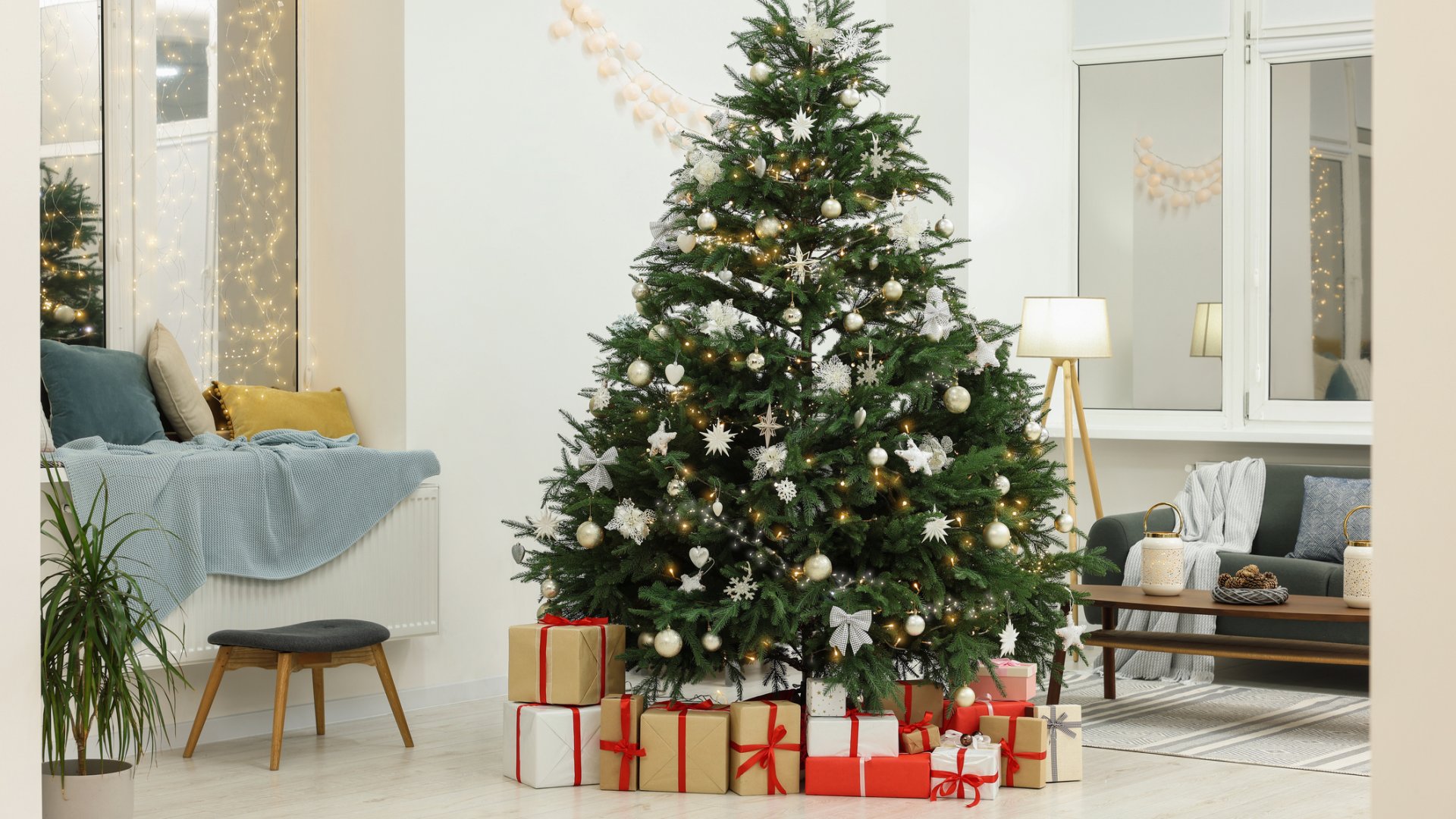 vágott karácsonyfa