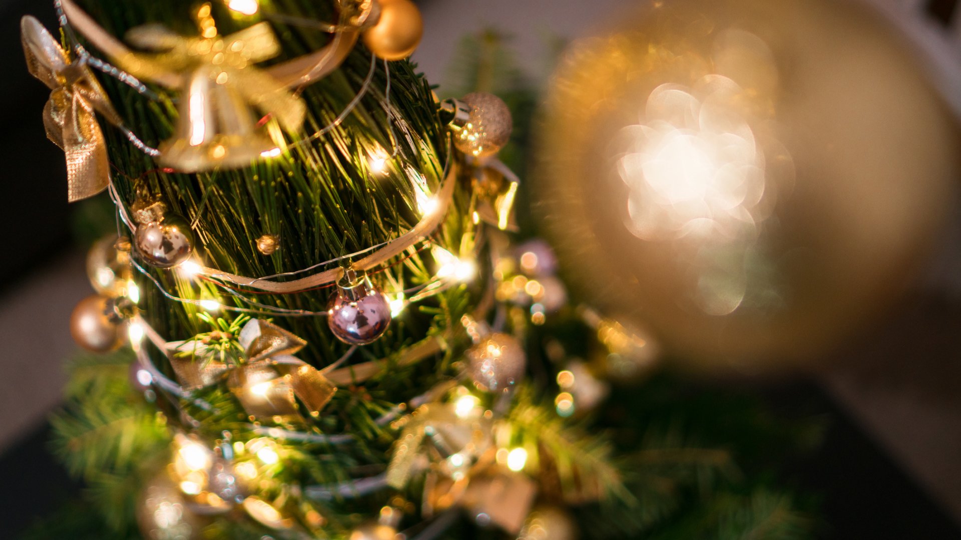  Így készül a grincsfa házilag: az év legkreatívabb karácsonyi ötlete