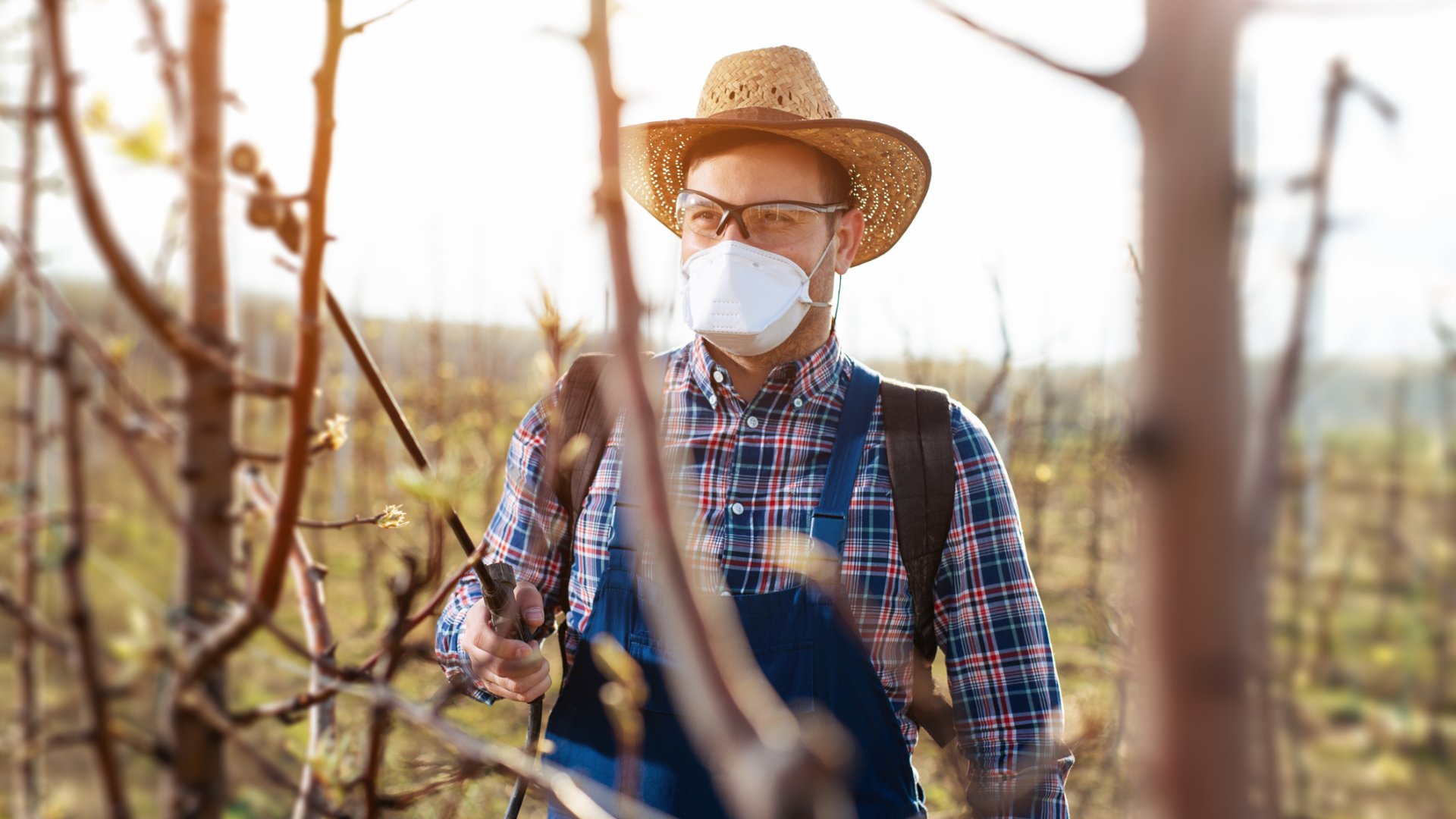 őszi lemosó permetezés