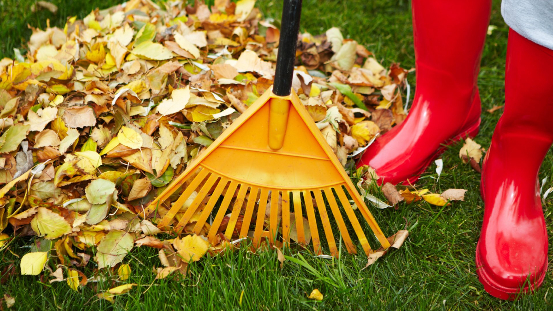 A kerti munkák feketelistája: őszi munkák, amiket érdemes elkerülni