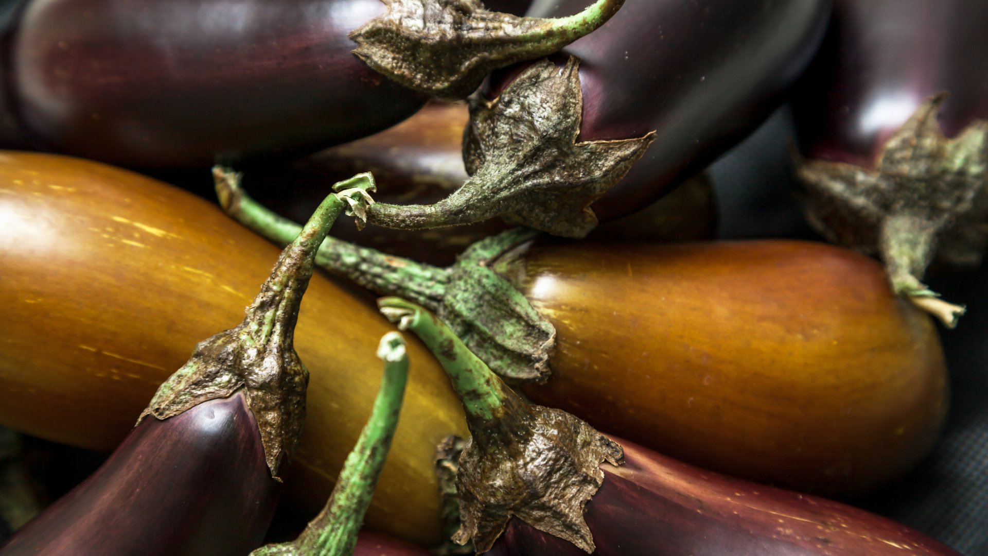 5 ok, amiért barna színű a padlizsánod (és hogyan kerülheted el!)