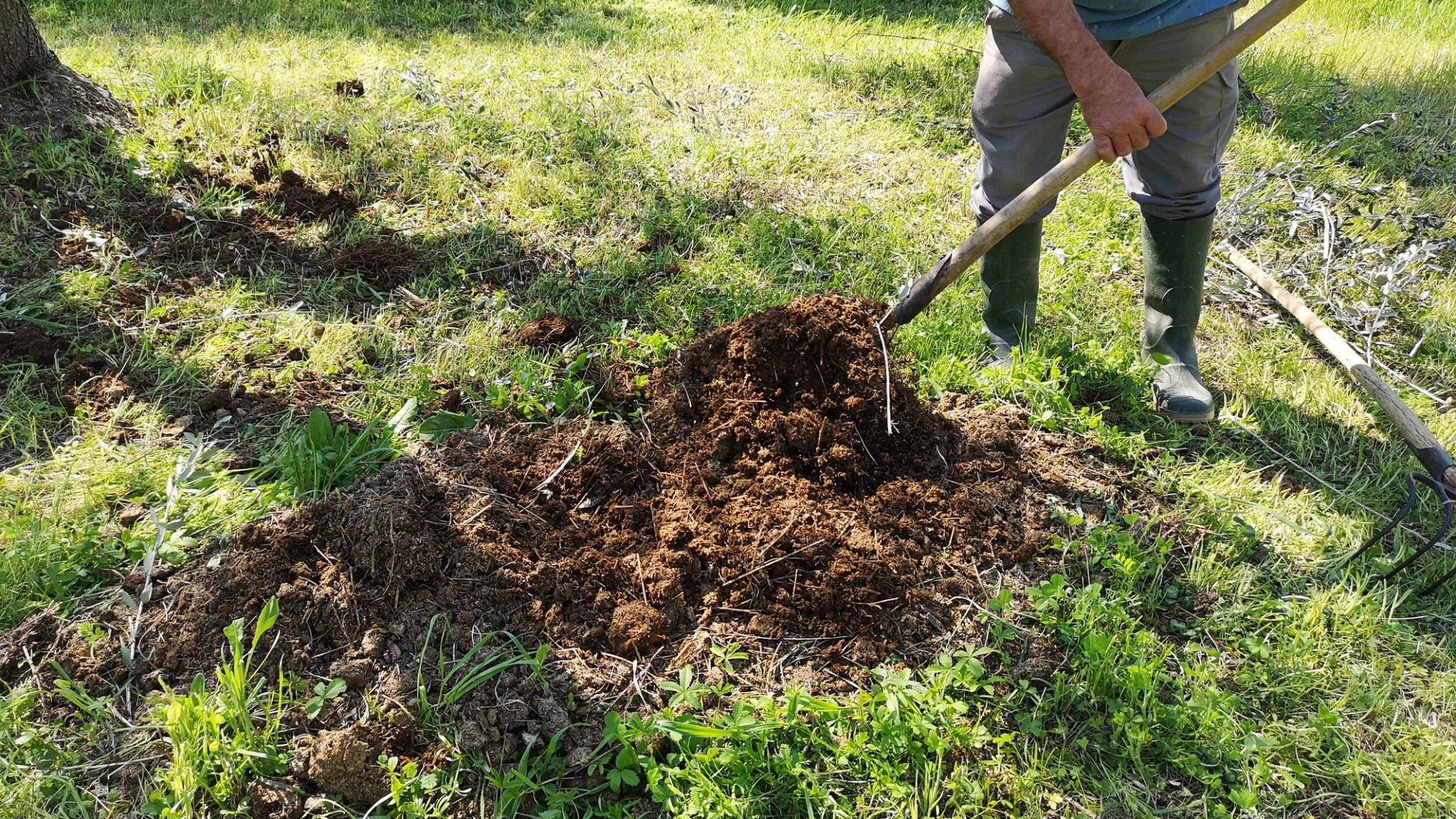 Ezért hagyd abba a trágyázást szeptemberben a kertben