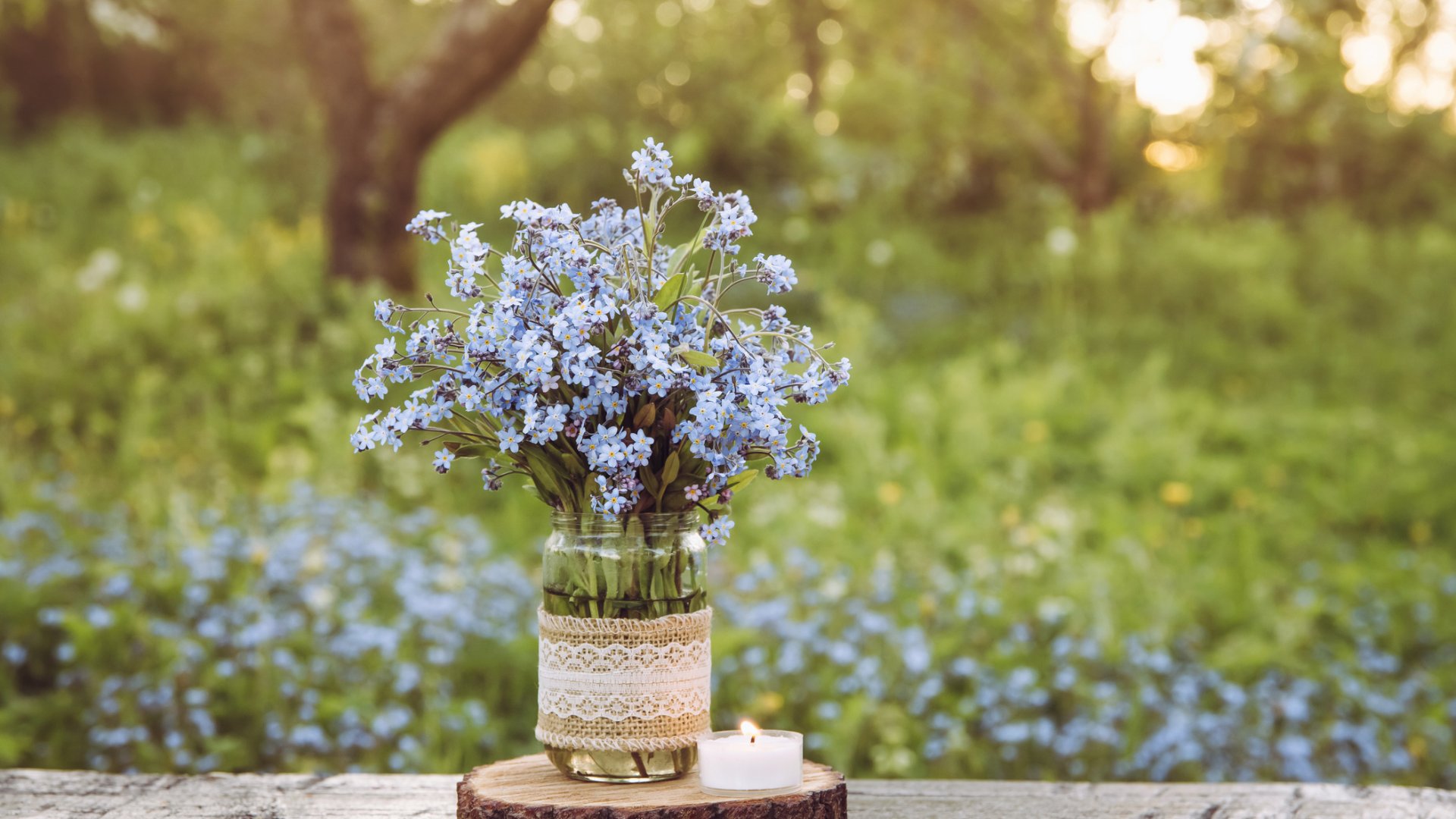 Itt a második tavasz: ezek az augusztusi virágok a leggyönyörűbbek