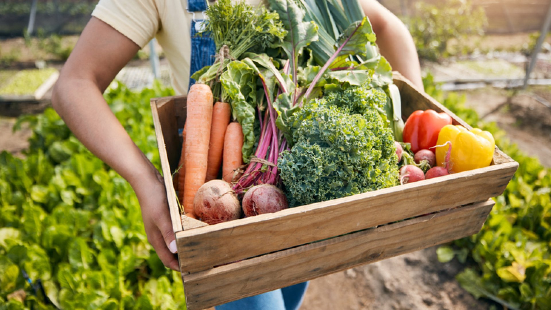 Öko, bio, organikus…mi ez? Most utánajártunk a rejtélynek!