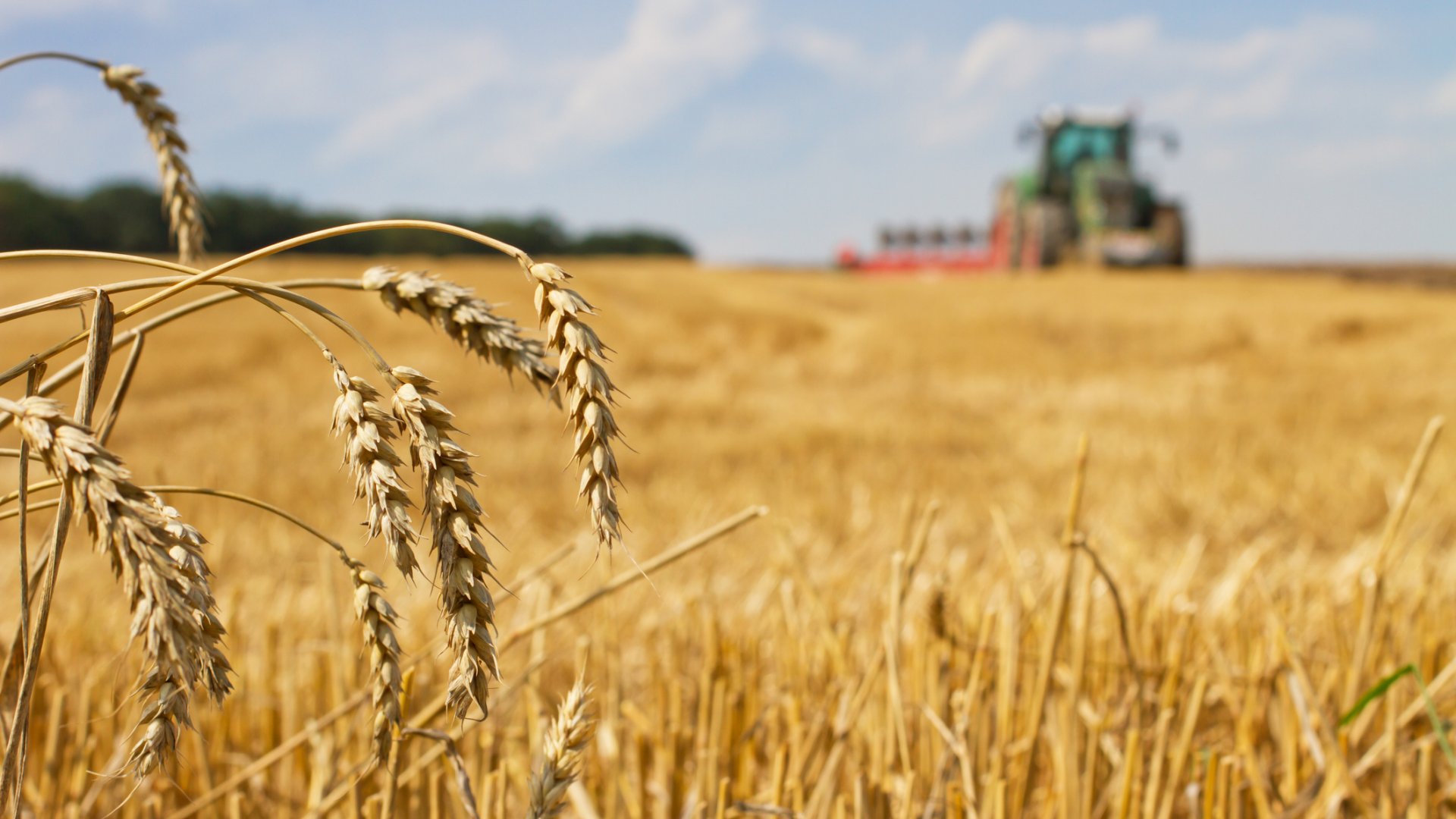 Agrár rövid hírek a közelmúltból: a talaj, a kukorica, az aratás és más érdekes témák Agrár rövid hírek a közelmúltból: a talaj, a kukorica, az aratás és más érdekes témák