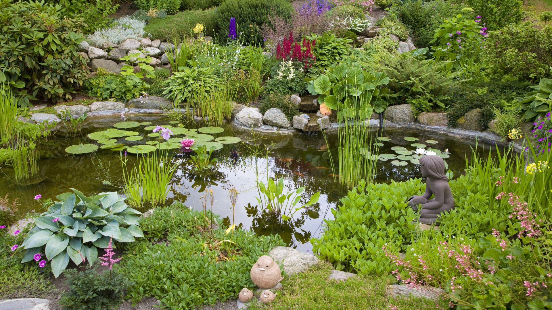 Burjánzó vízinövények kerti tóba? Itt vannak a legcsodásabb kerti tavi növények