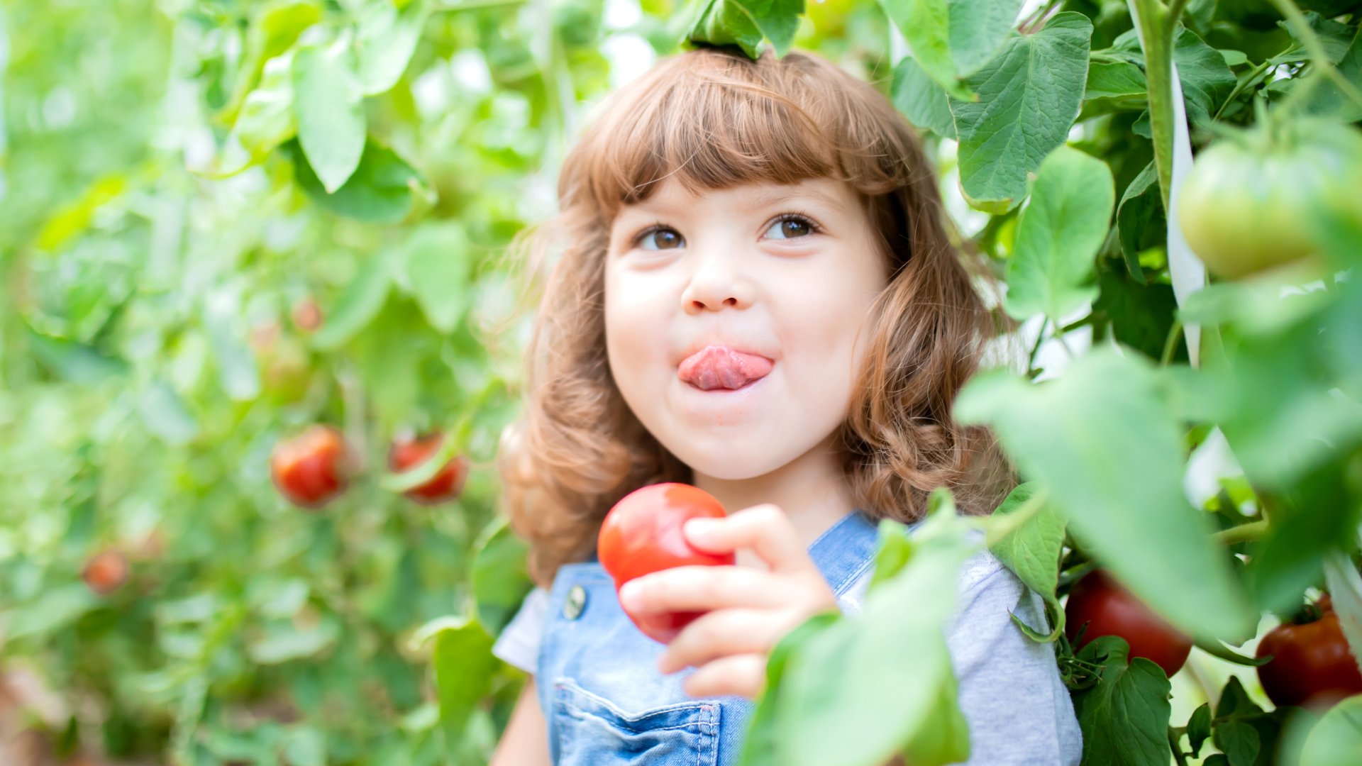 Kerti munkák a nyár derekán: mit tegyünk a kertben július elején?
