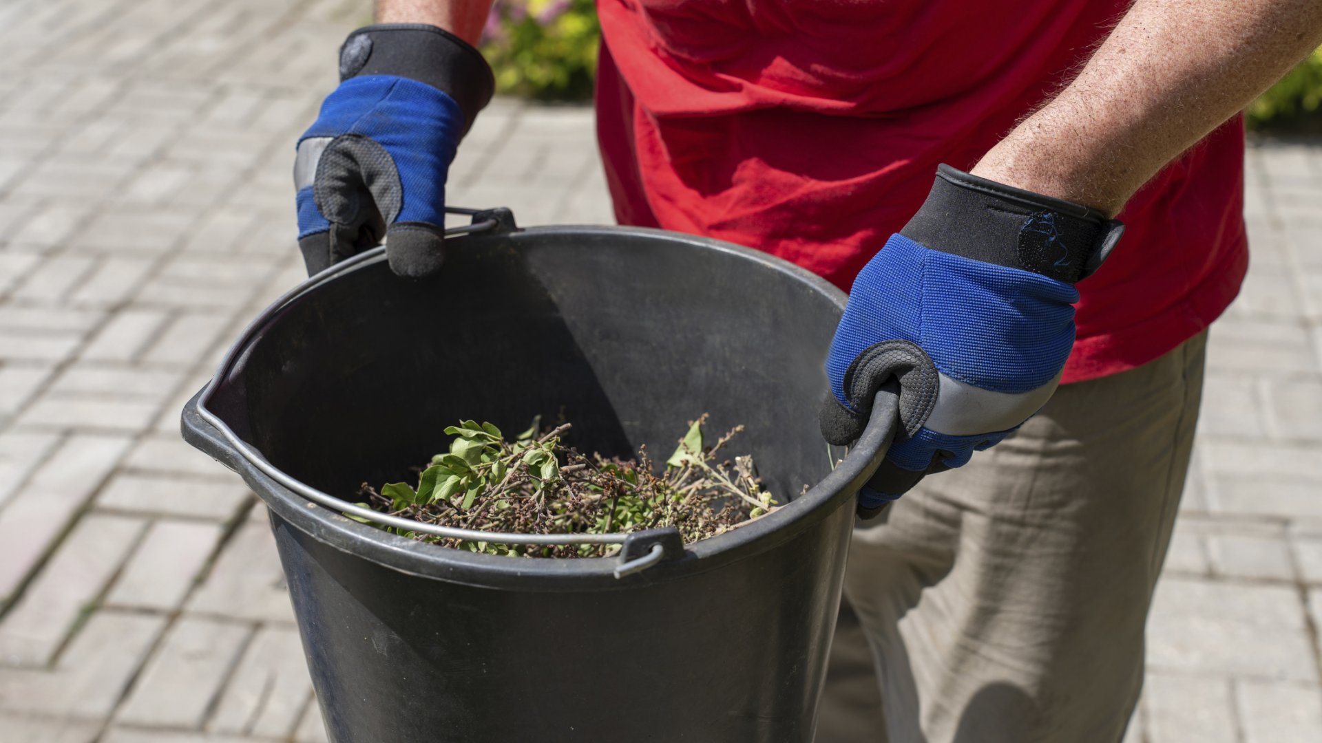 Komposztálás nyáron: tippek a komposzthalom gondozásához