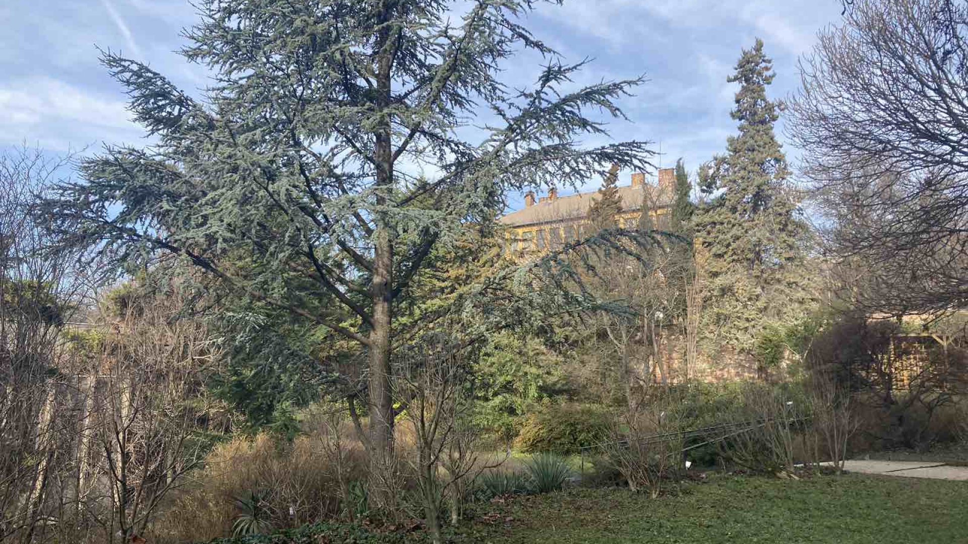 Közösségi összefogással újul meg a Budai Arborétum