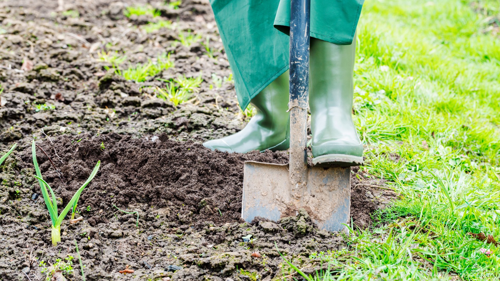 5 tipp a kora tavaszi vetések sikeréhez