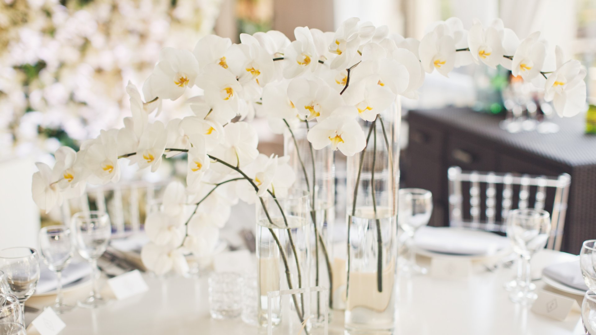 Így használd a csodás orchideát esküvődön Így használd a csodás orchideát esküvődön