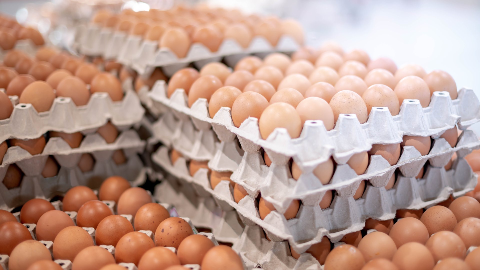 Agroinform.hu: harmadával olcsóbb lehet a húsvéti tojás tavalyhoz képest Agroinform.hu: harmadával olcsóbb lehet a húsvéti tojás tavalyhoz képest
