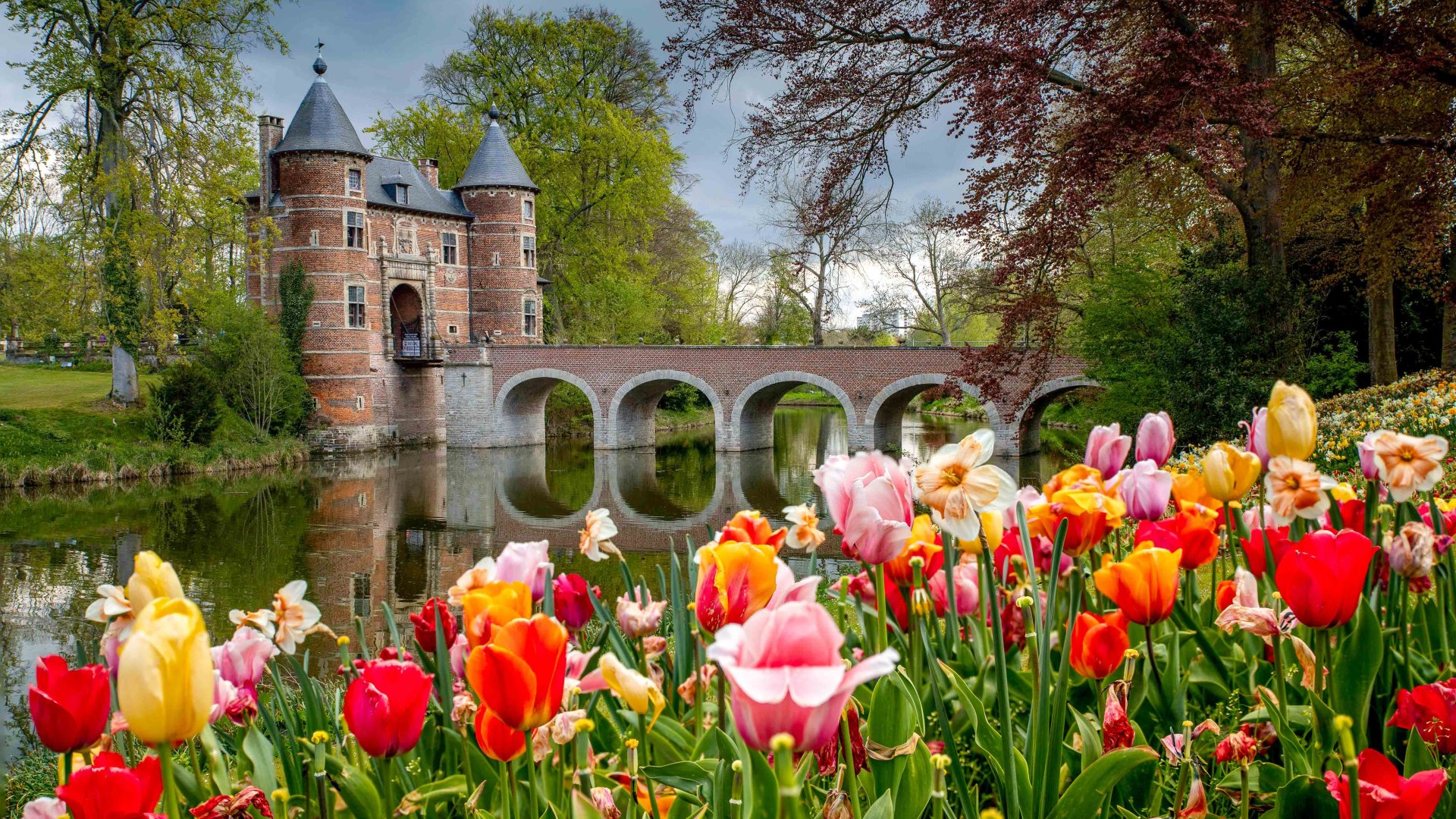 Igazi mesevilág: Ezek Európa legszebb virágfesztiváljai 2024 tavaszán 