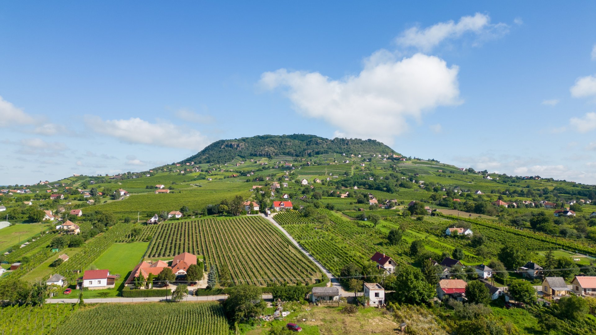 Kiállítás nyílt a Magyar Nemzeti Múzeumban a Somló-hegy kincseiről