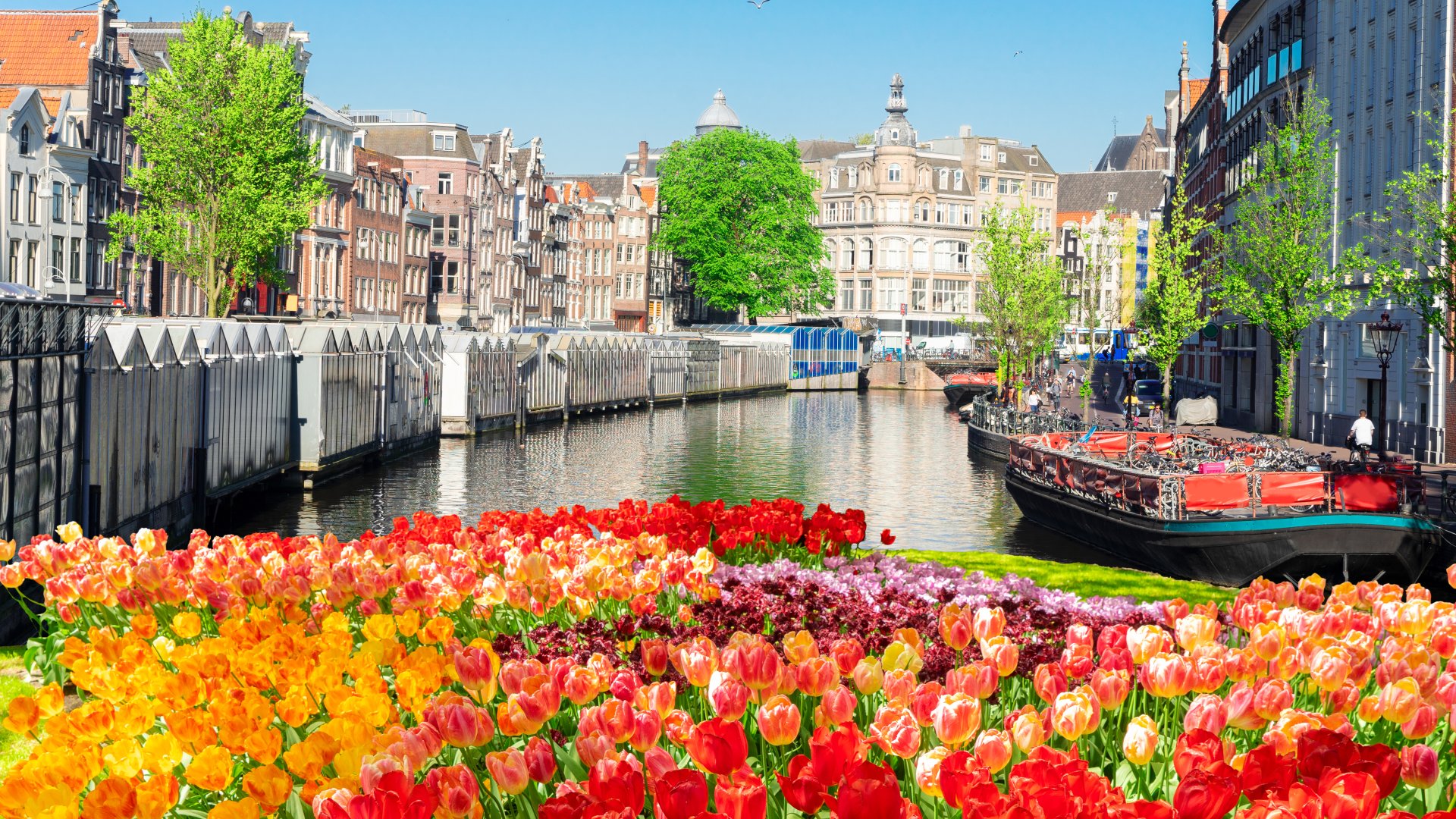 Tudtátok, hogy van Amszterdamban egy úszó virágpiac? 