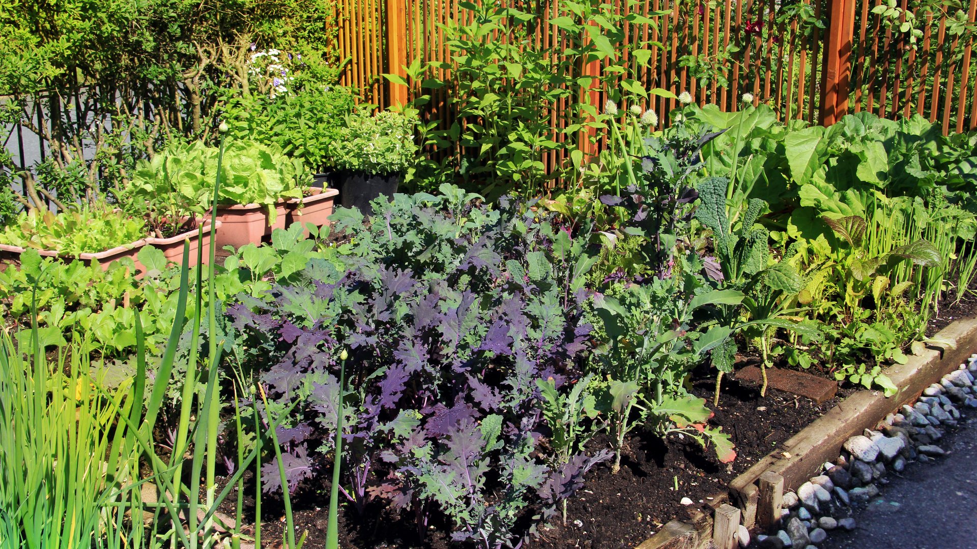 Tervezd meg most a 2024-es veteményeskerted: ezekkel a tippekkel garantált a siker