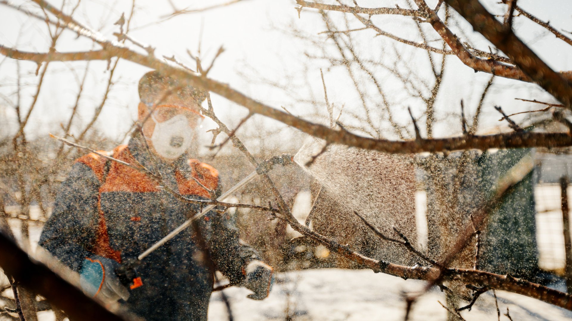 Téli permetezés: mikor érdemes télen permetezni?