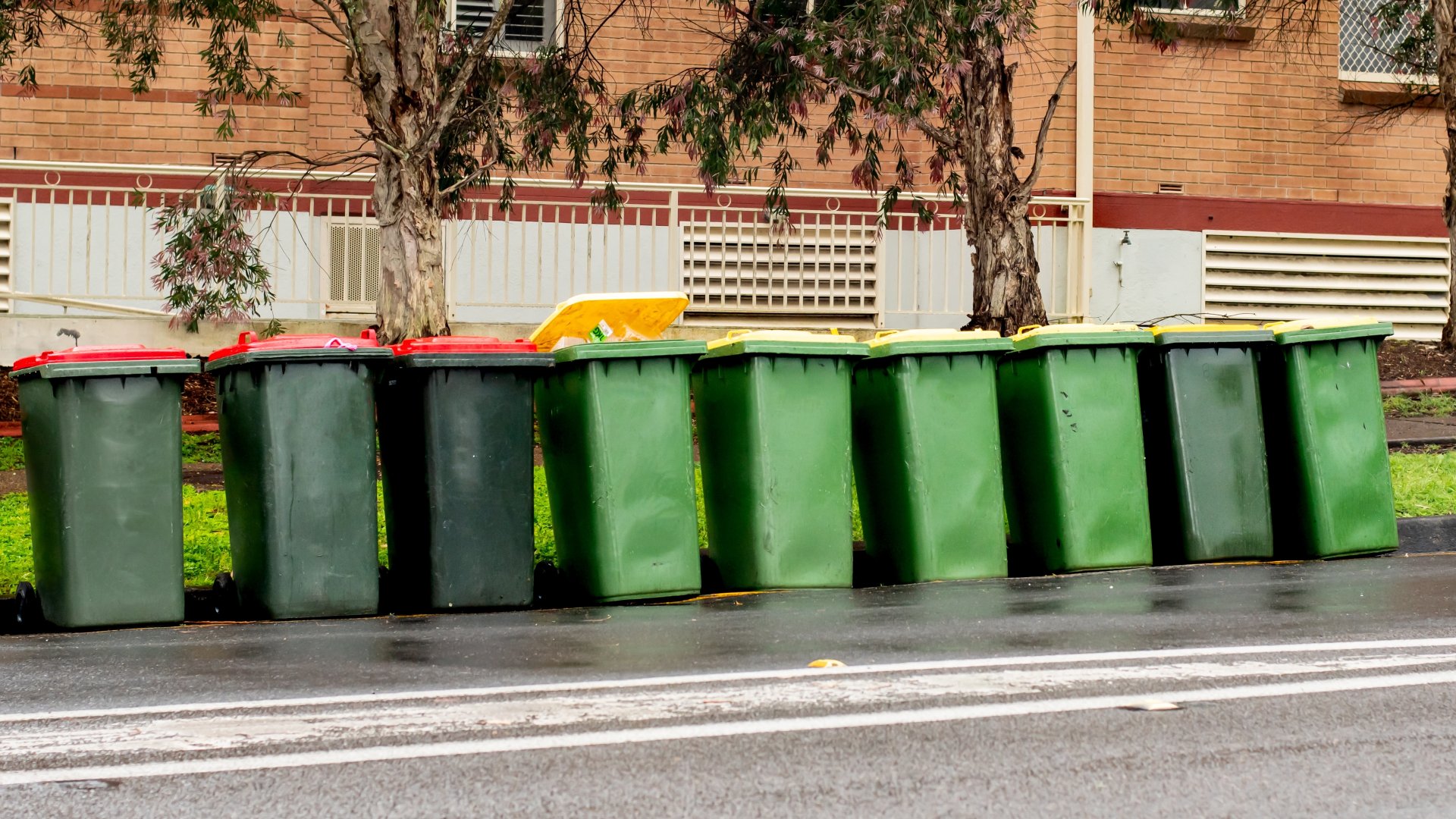A Mohu új zöldprogramja: Minden lakás kap egy új ötliteres zöldhulladék gyűjtőt
