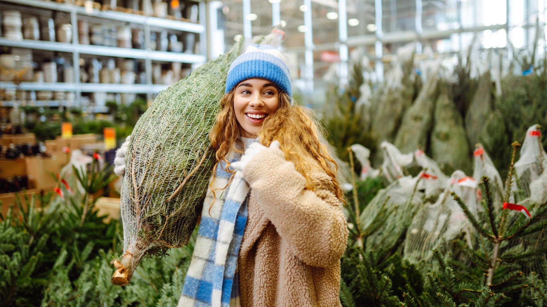 Így marad tovább friss a vágott karácsonyfa