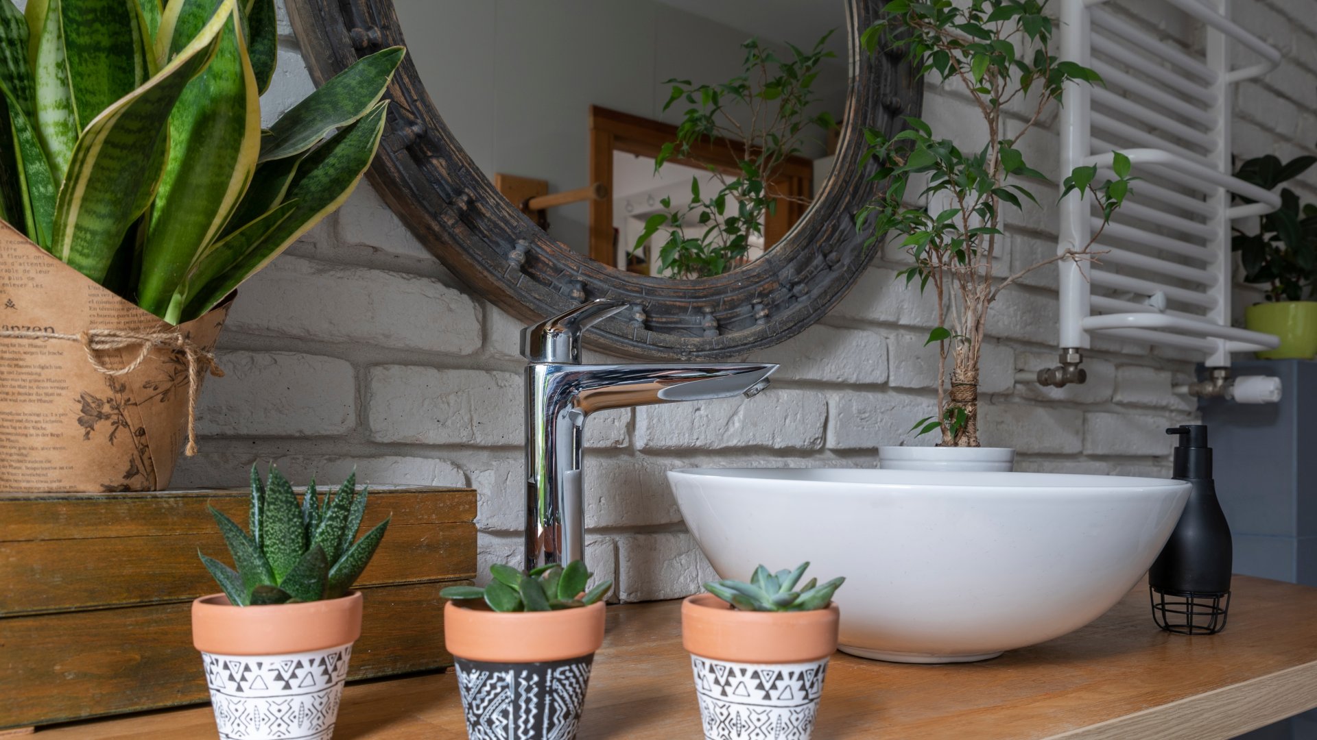 Növények a fürdőszobában: páfrány, aloe vera és orchidea, ne hagyd növény nélkül a fürdőt!