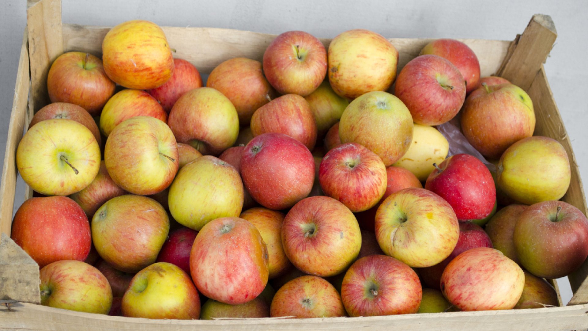 Ha a kamrában tárolod az almákat, akkor mindenképp ellenőrizd őket! Ha a kamrában tárolod az almákat, akkor mindenképp ellenőrizd őket!