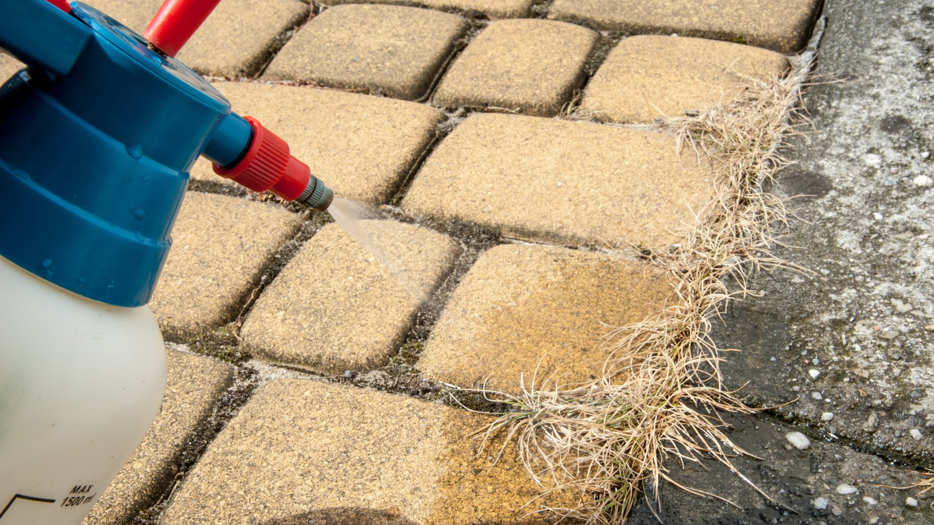 Ez a recept minden gyomot kiírt pár perc alatt!