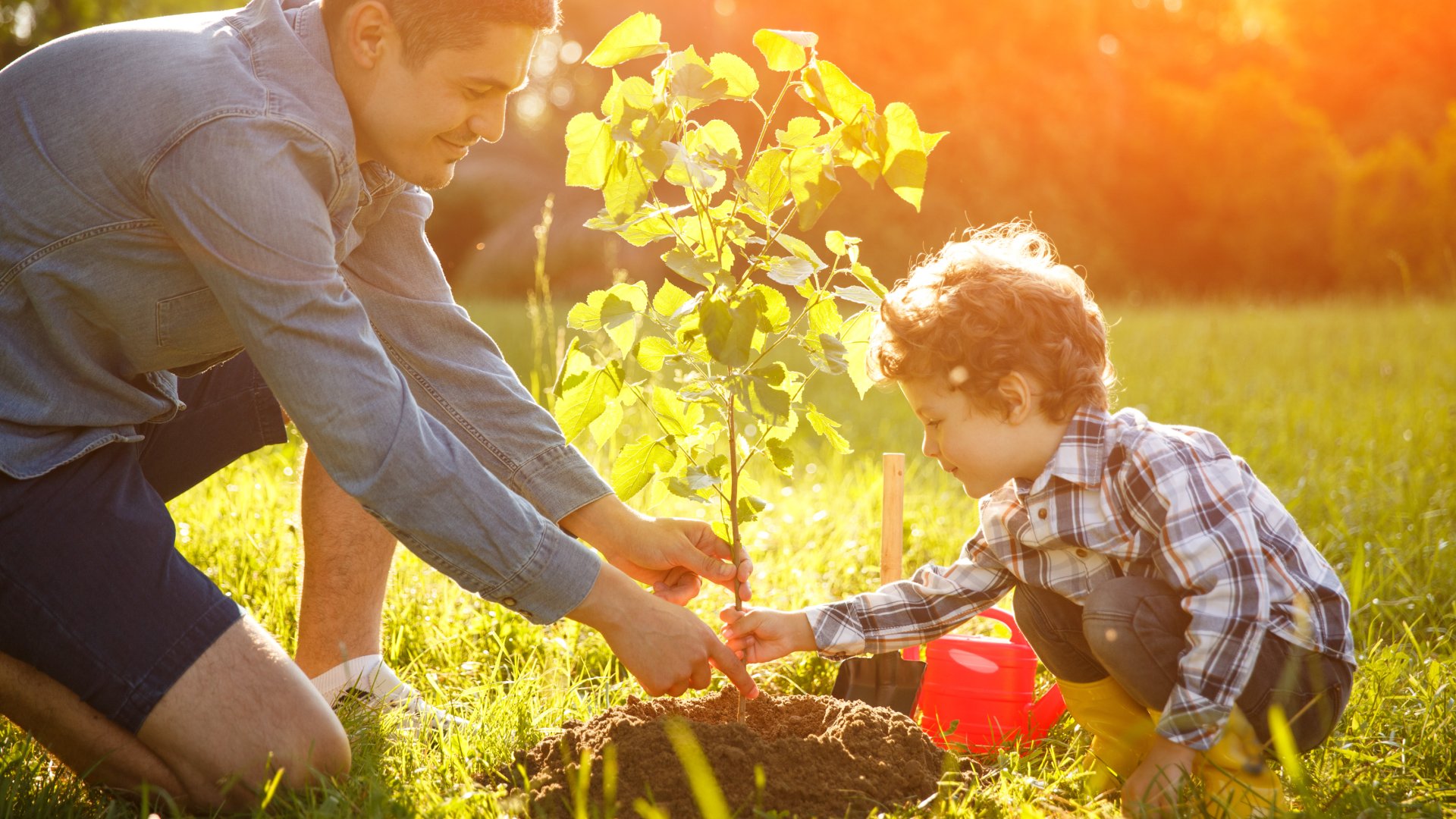Tízezreket spórolhatsz, ha most ültetsz és nem várod ki a tavaszt! 
