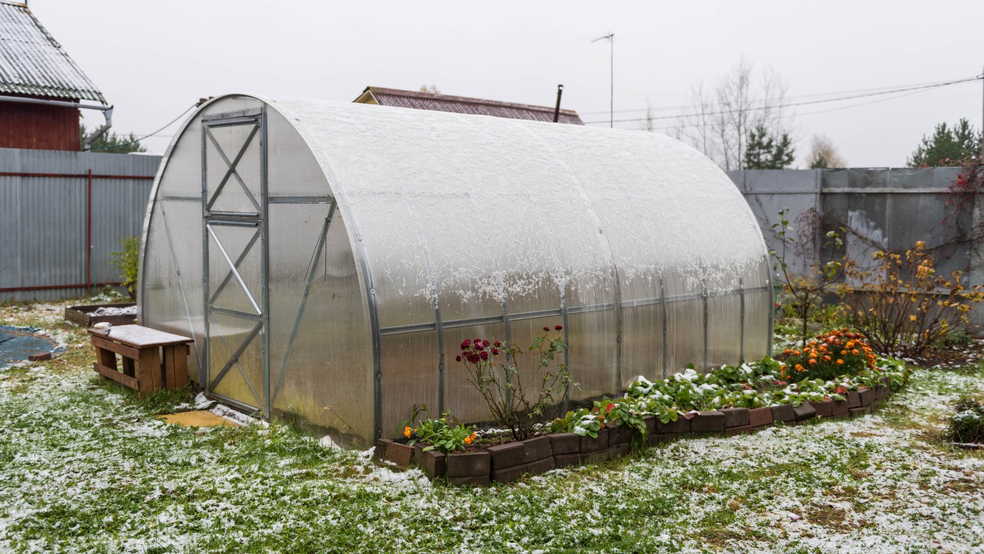 5+1 érv, amiért megéri üvegházat építened a kertbe