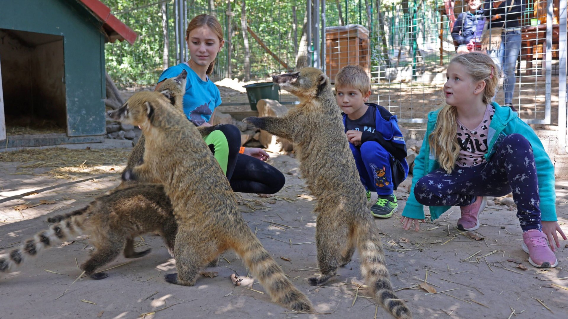 Új állatkert nyitotta meg kapuit Magyarországon!