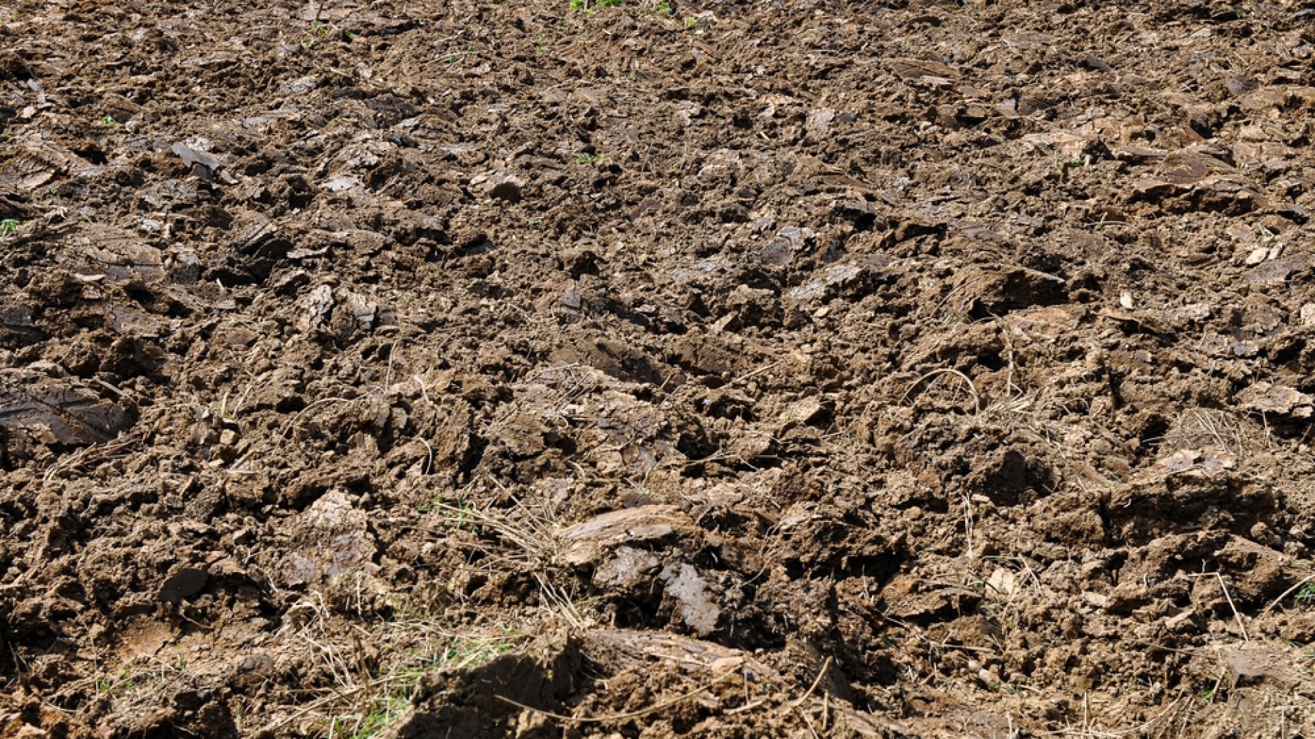 talajfertőtlenítés