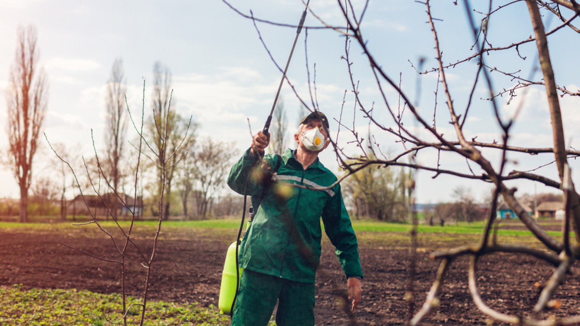Most kell elvégezni az őszi lemosó permetezést – bio tippeket adunk!