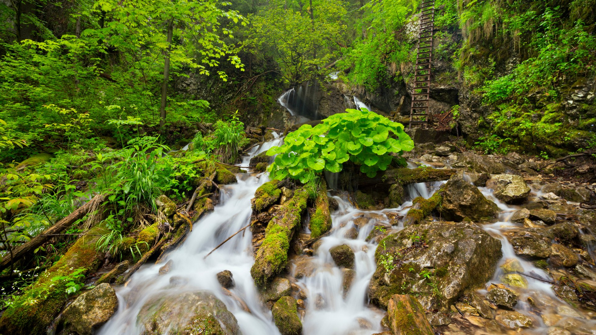 5 legszebb szlovák túraútvonal szlovák túraútvonalak