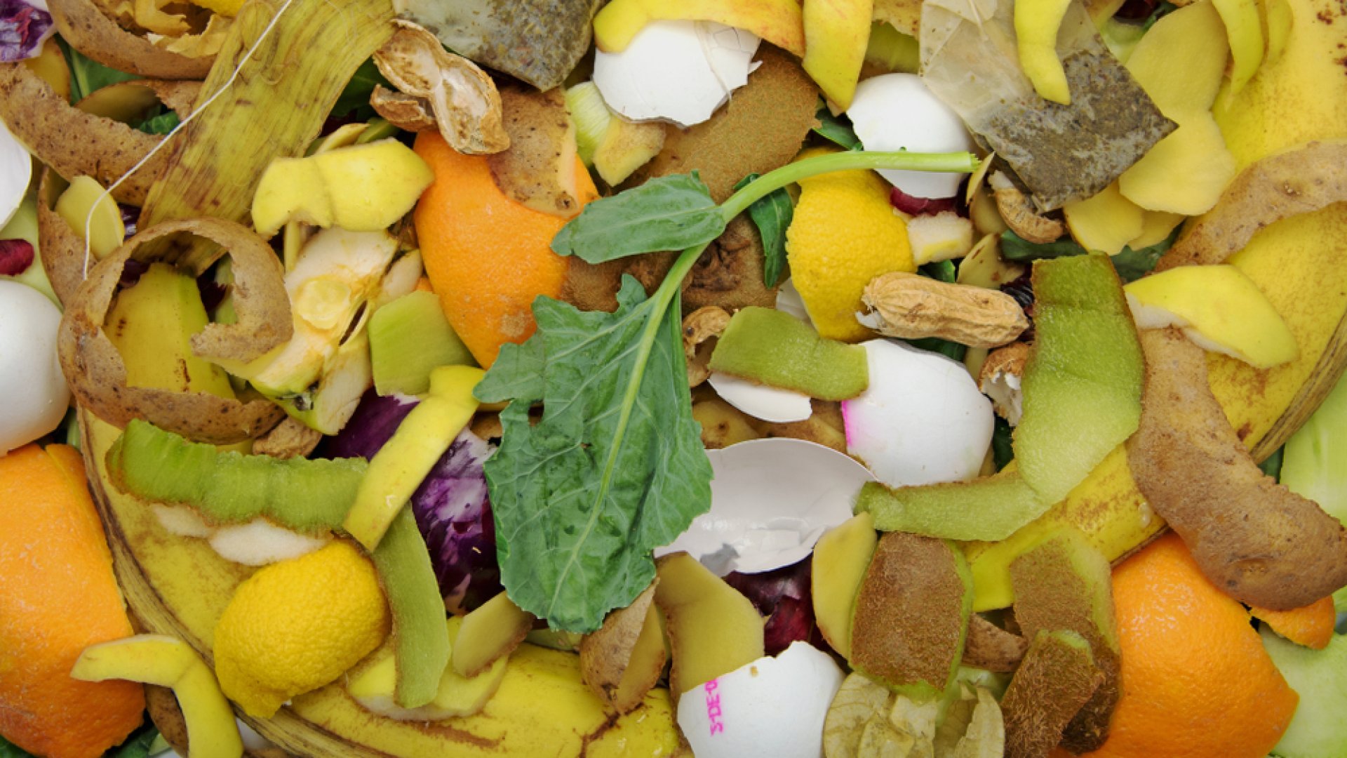 Készíts ősszel te is komposzt teát: így kezdj bele