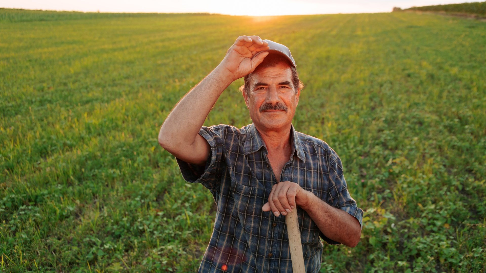 Így juthatnak busás támogatáshoz a gazdák - Segítség a gabonaválságban Így juthatnak busás támogatáshoz a gazdák - Segítség a gabonaválságban