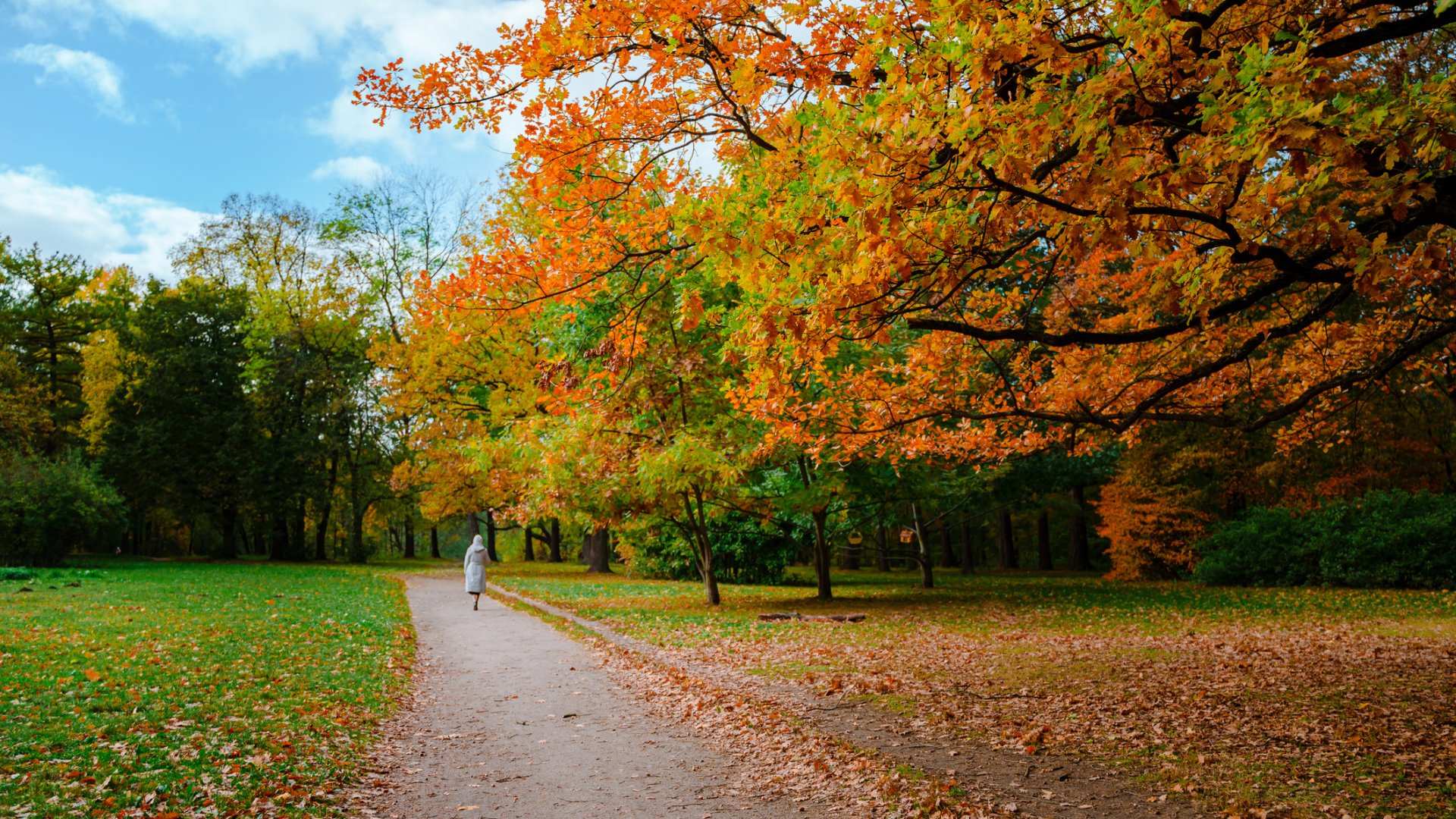 Ősszel is varázslatos: ingyenes séták a Budai Arborétum kincsei között