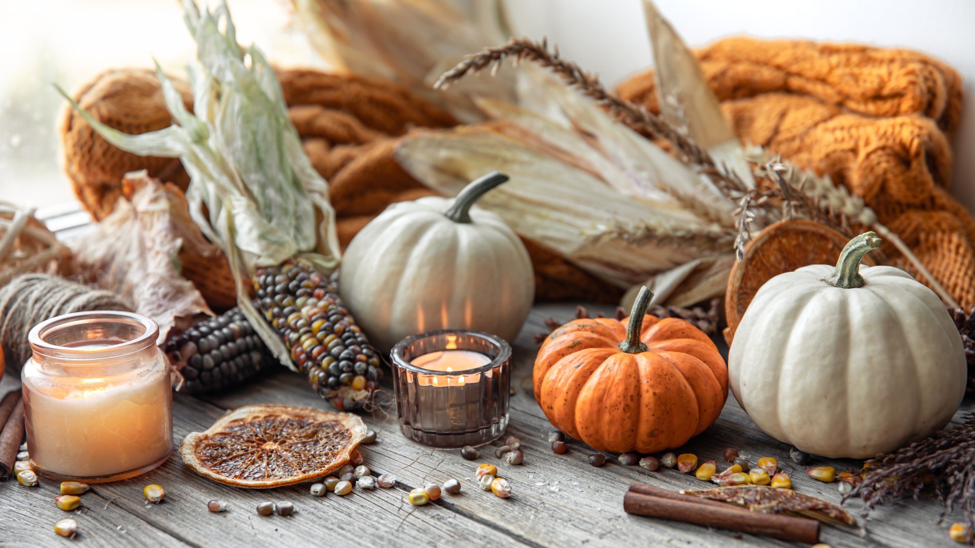 Termesszünk dísztököt, hogy tudjunk mivel dekorálni a szezon alatt!