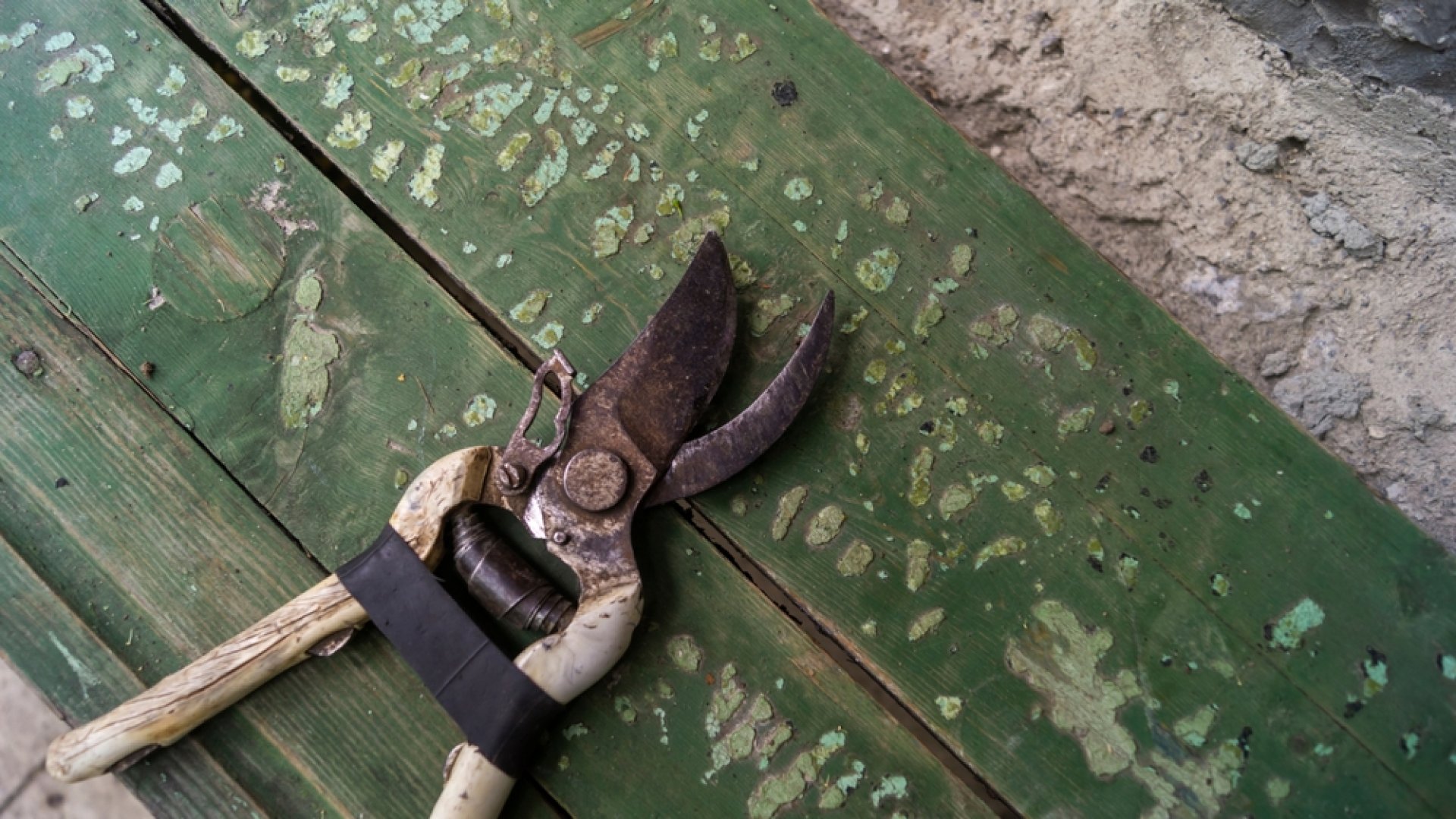 Ellenőrizd most a kerti szerszámjaidat, hogy ne érjen meglepetés ősszel