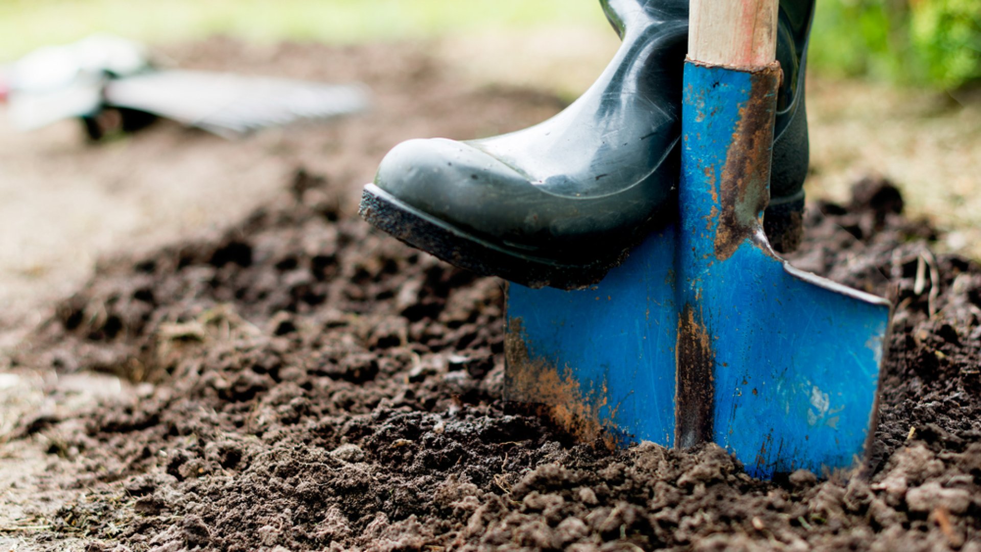 Őszi talajápolás: Talajmegmunkálás és tápanyag-visszapótlás