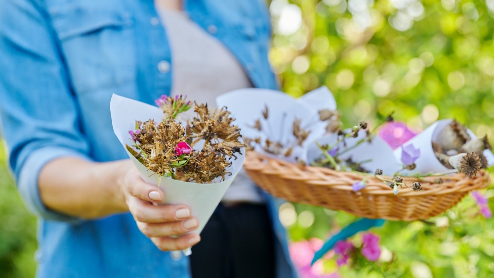 Gyűjtsd be augusztusban-szeptemberben a kertedben a magokat, készülve a jövő évre