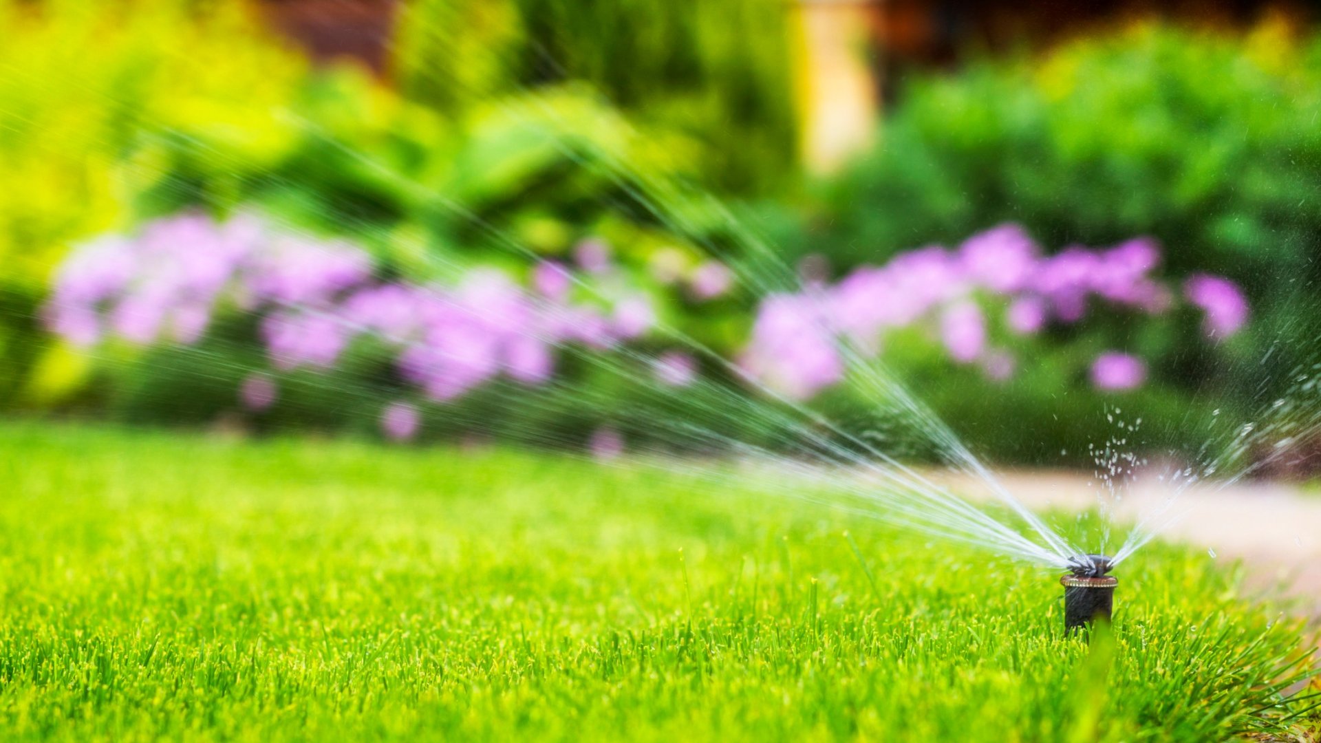 Mennyi ideig kell locsolni, ha öntözőrendszert használsz?