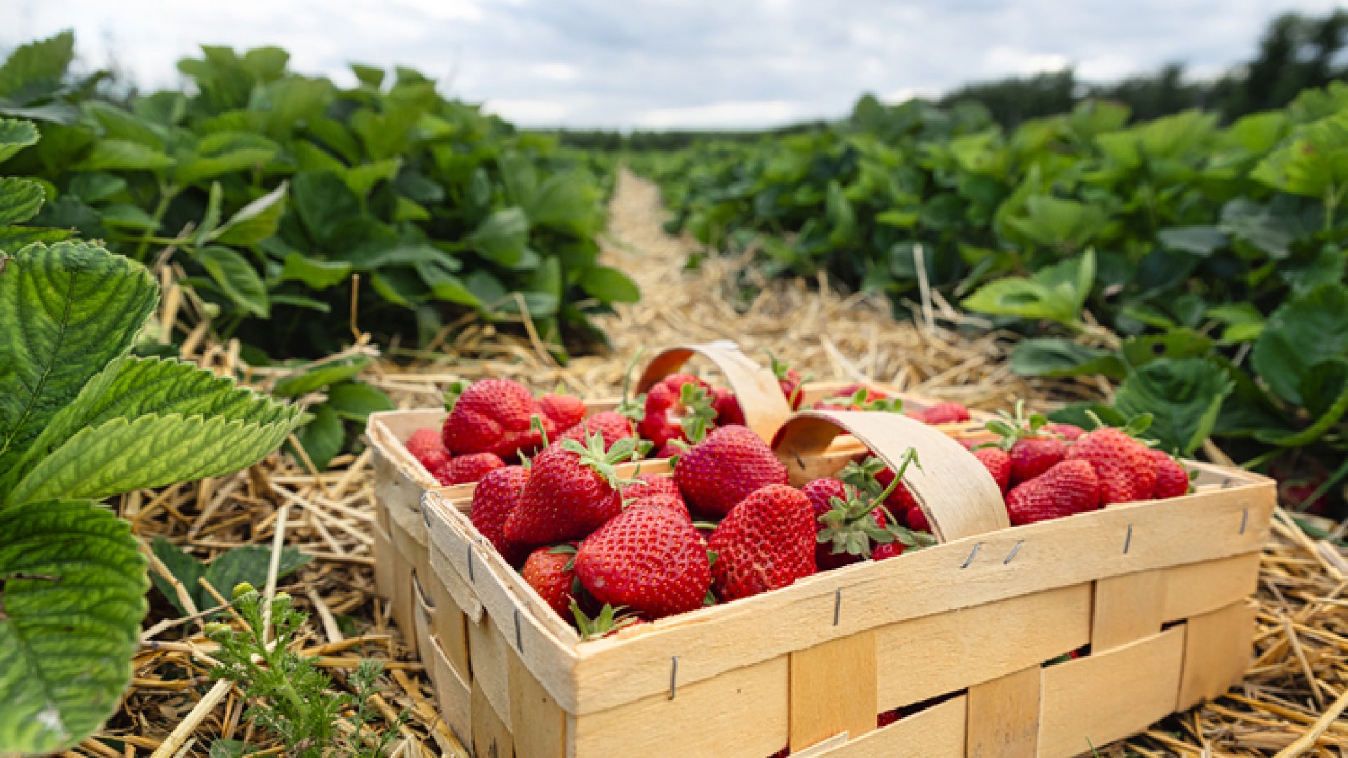 eper újratelepítése