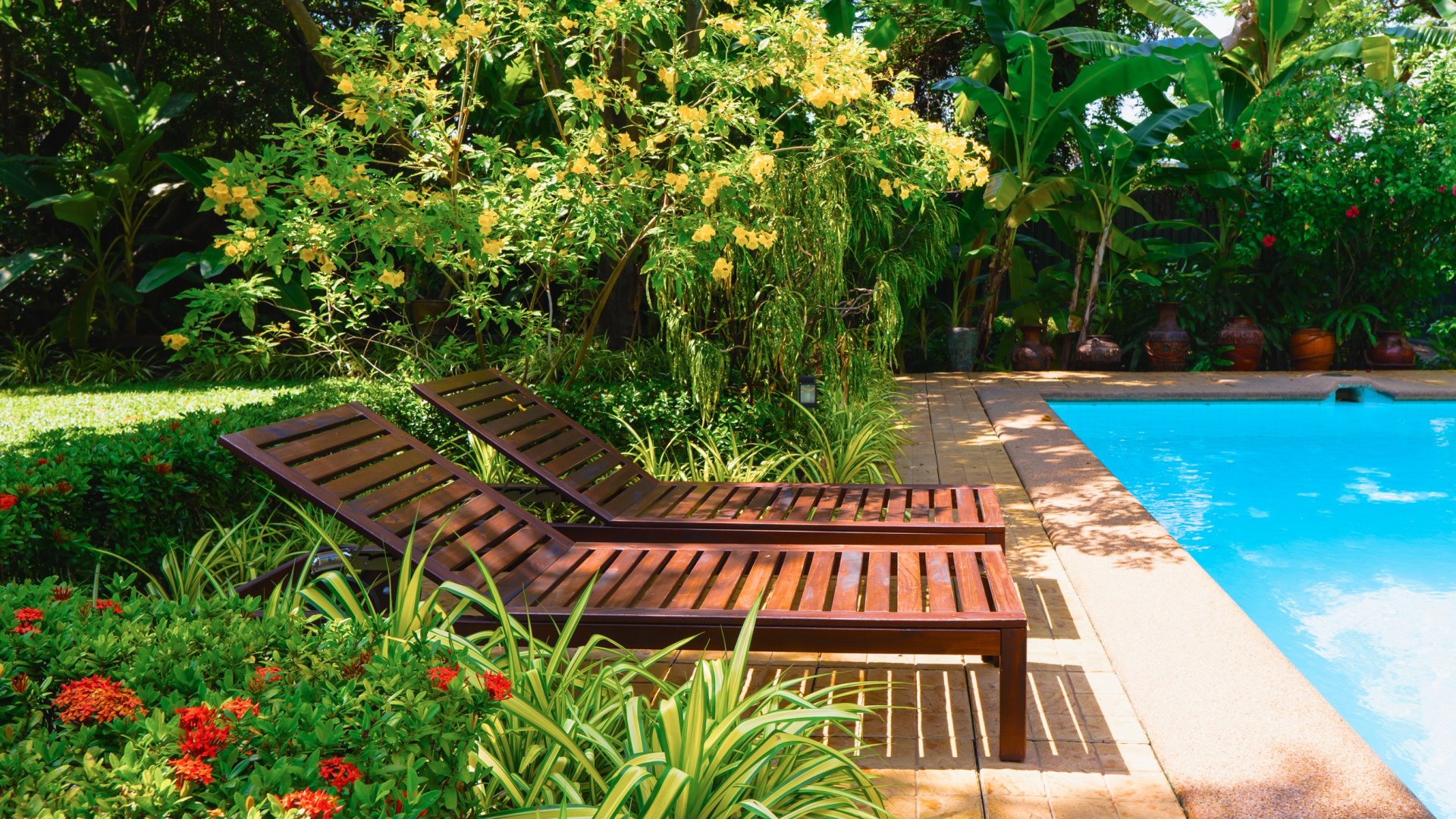 A legjobb növények a medence körül – 10 tökéletes lehetőség egy privát kerti paradicsomhoz