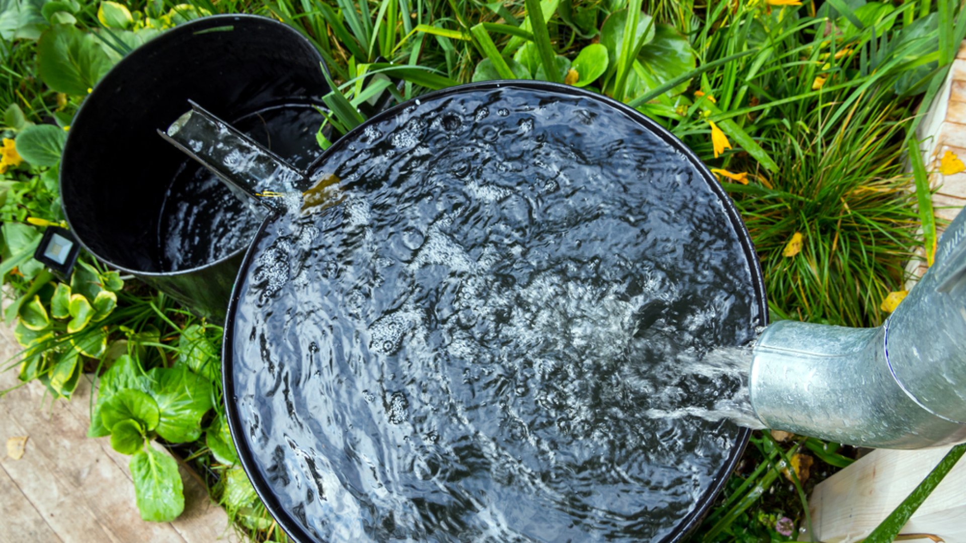 Takarékos locsolás a kertben nyáron: így locsolj olcsóbban! Takarékos locsolás a kertben nyáron: így locsolj olcsóbban!