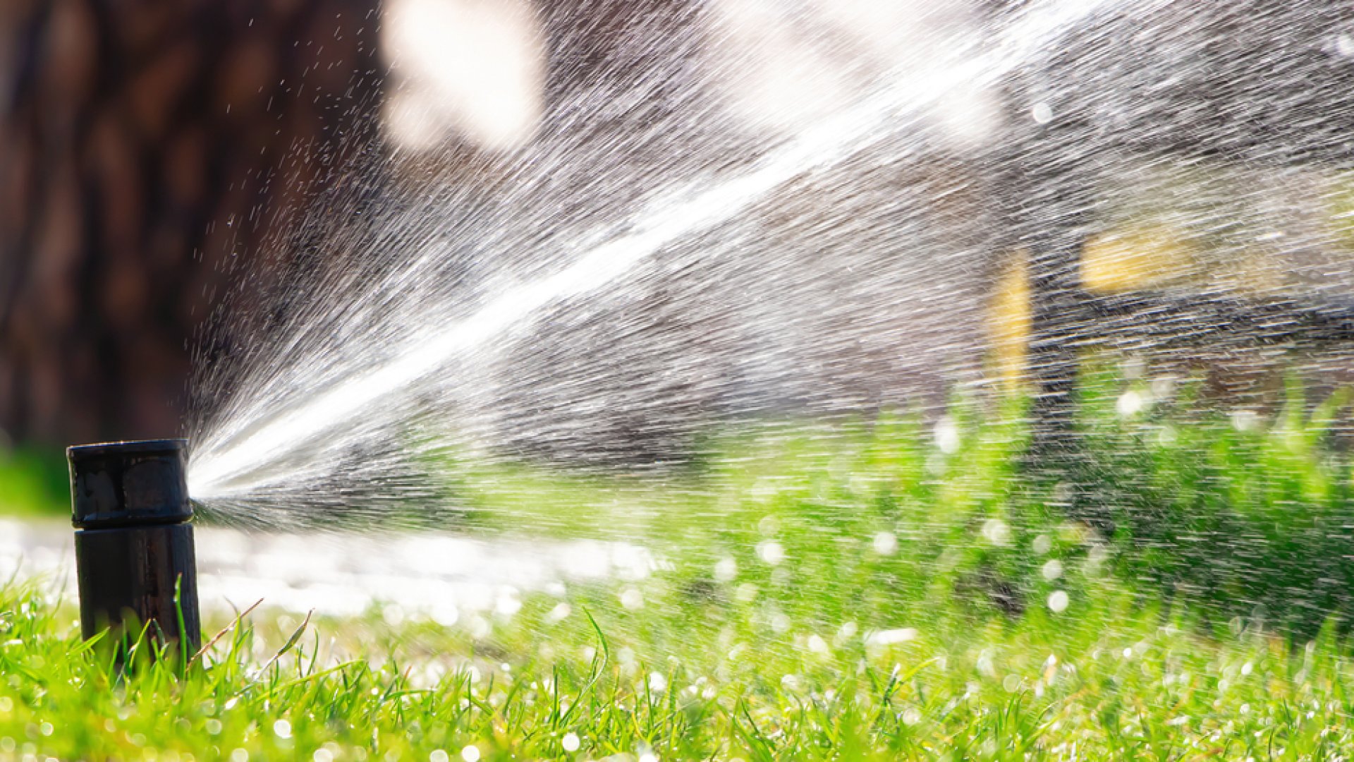 7 zseniális tipp a növények locsolásához, amikor éppen nyaralsz 7 zseniális tipp a növények locsolásához, amikor éppen nyaralsz