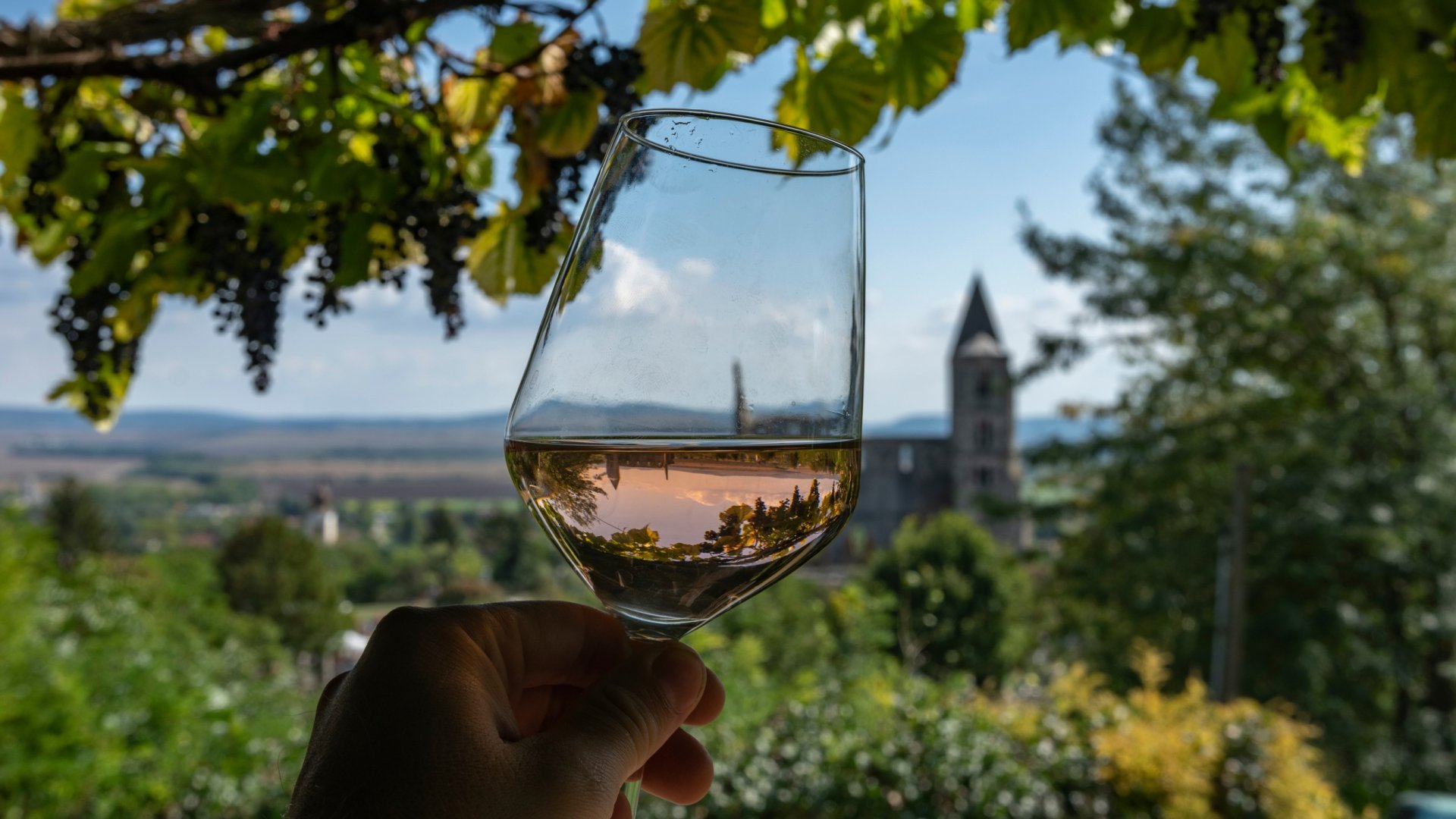 Ezek lettek idén a legjobb hazai borok! – Nézd meg a ranglistát! Ezek lettek idén a legjobb hazai borok! – Nézd meg a ranglistát!