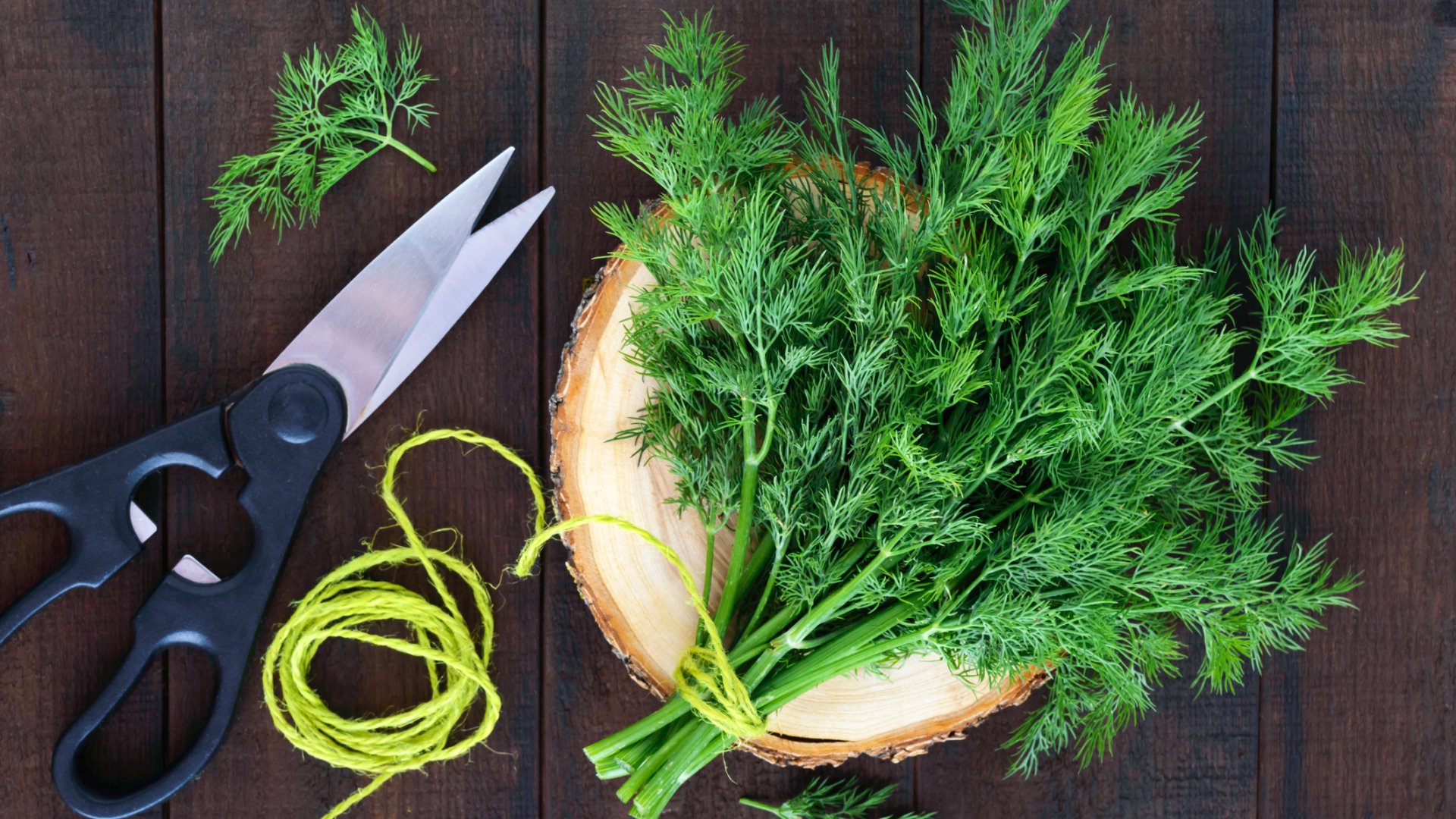 Kapor pozitív hatásai