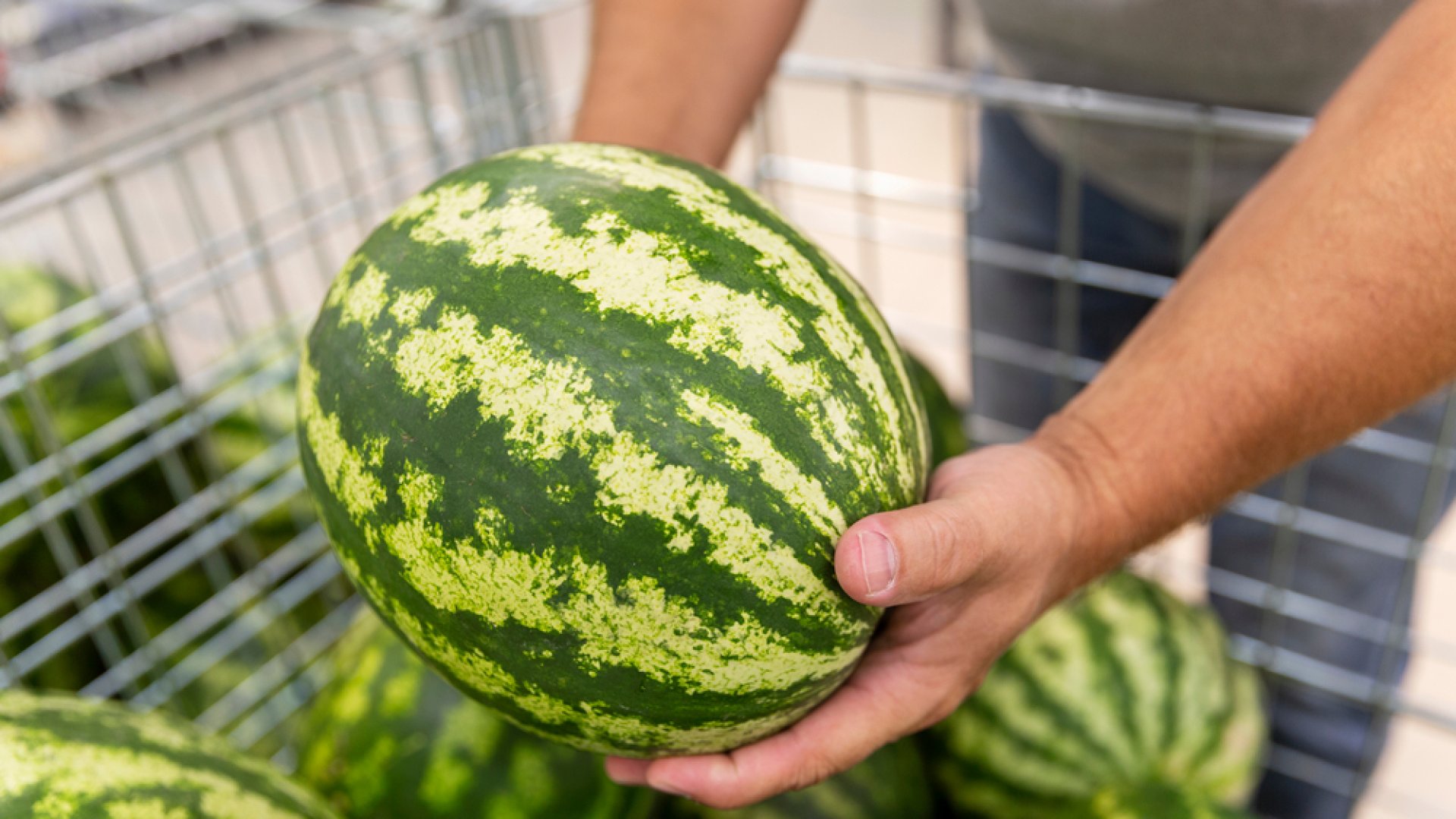 Ez a tökéletes dinnye kiválasztásának titka: miért is kell kopogtatni? Ez a tökéletes dinnye kiválasztásának titka: miért is kell kopogtatni?