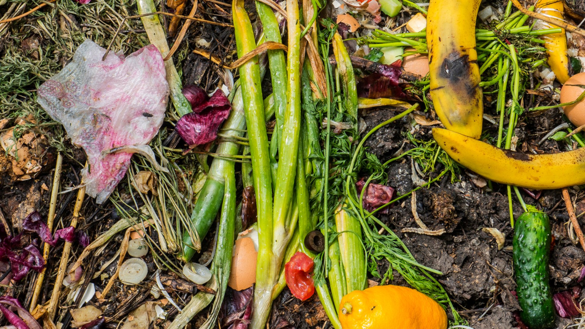 A nyári komposztálás szabályai, amikre érdemes figyelni