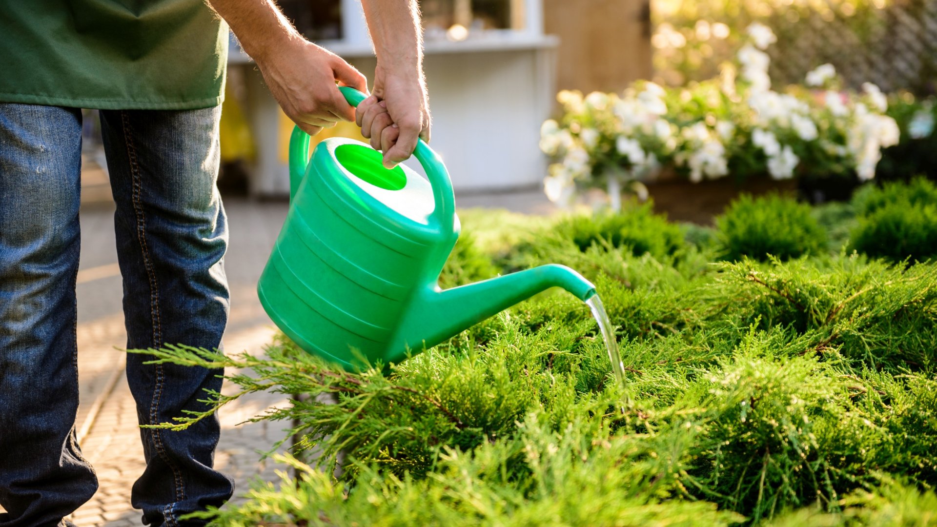 Nyári locsolás kisokos: mit mennyiszer kell locsolni a kertben a nyári melegben?